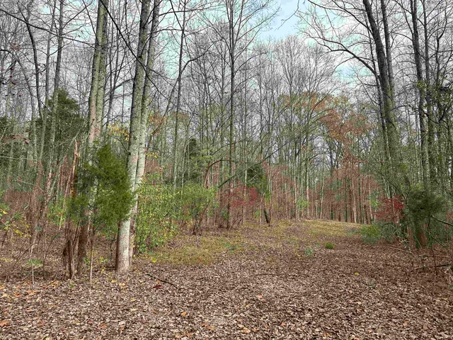 $50,000 | 2905 Dillard Road, Birdseye, IN 47513