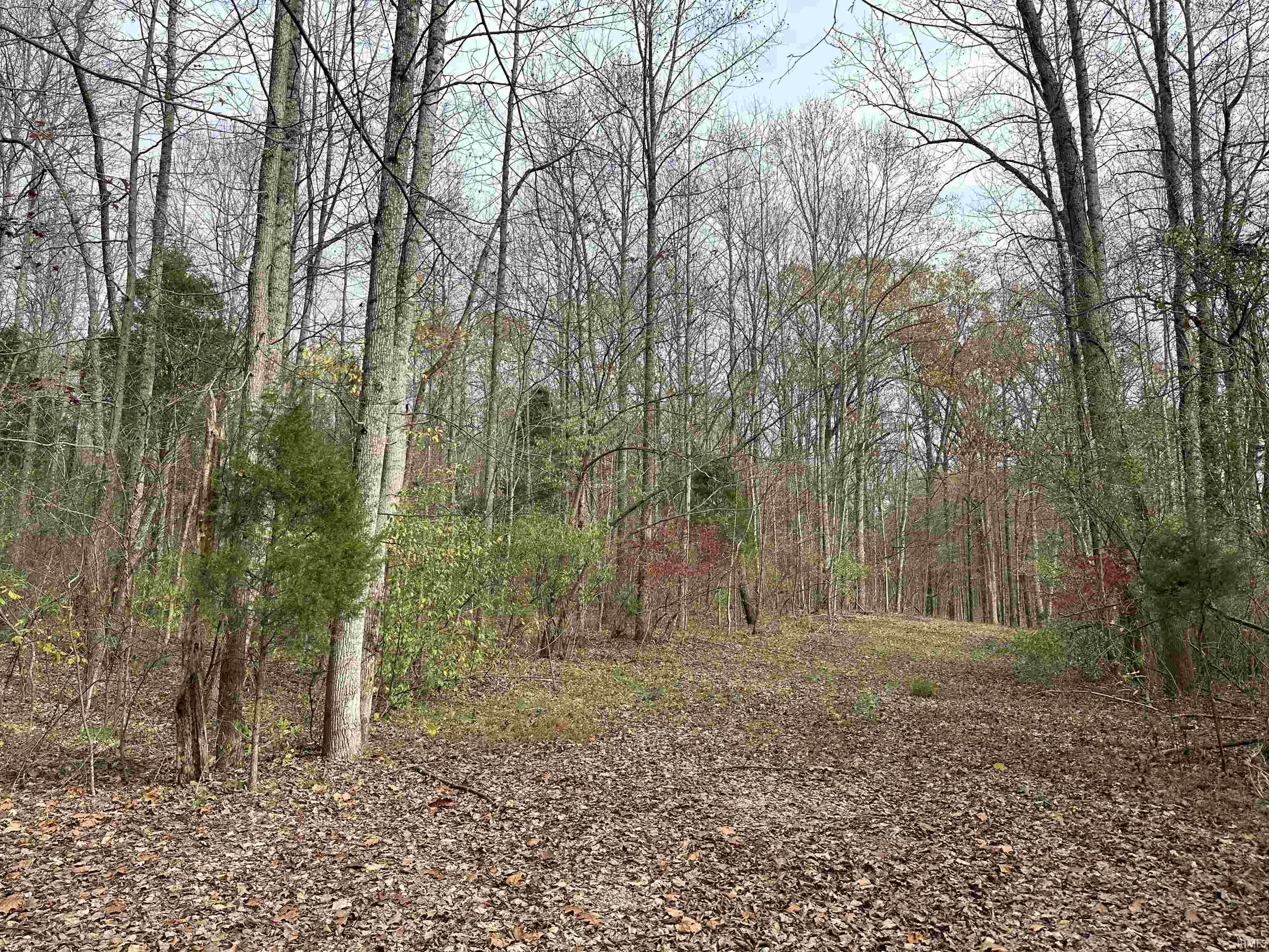 2905 Dillard Road Birdseye, IN 47513 - Photo 26 of 26