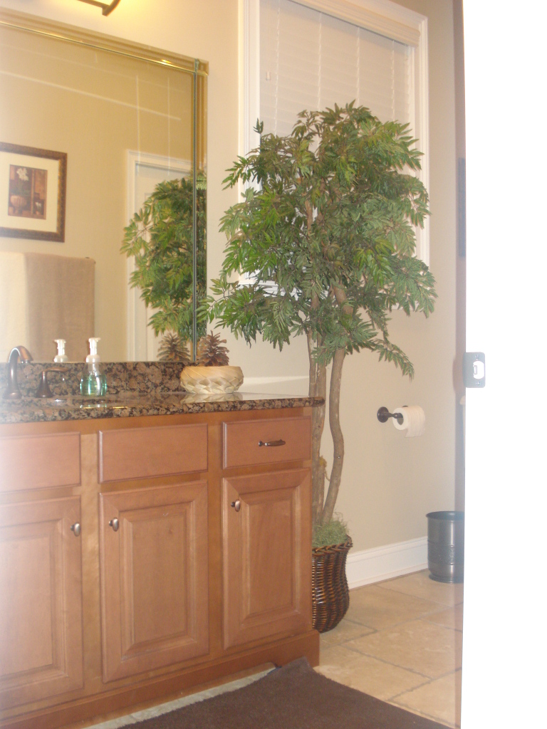 1435 Sheffield Road St. Johns, FL 32259 - Photo 11 of 42 a bathroom with a sink and mirror