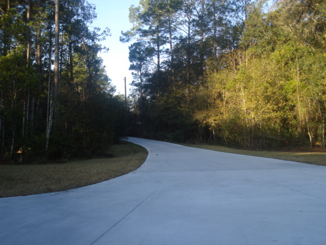 1435 Sheffield Road St. Johns, FL 32259 - Photo 32 of 42 a view of a backyard