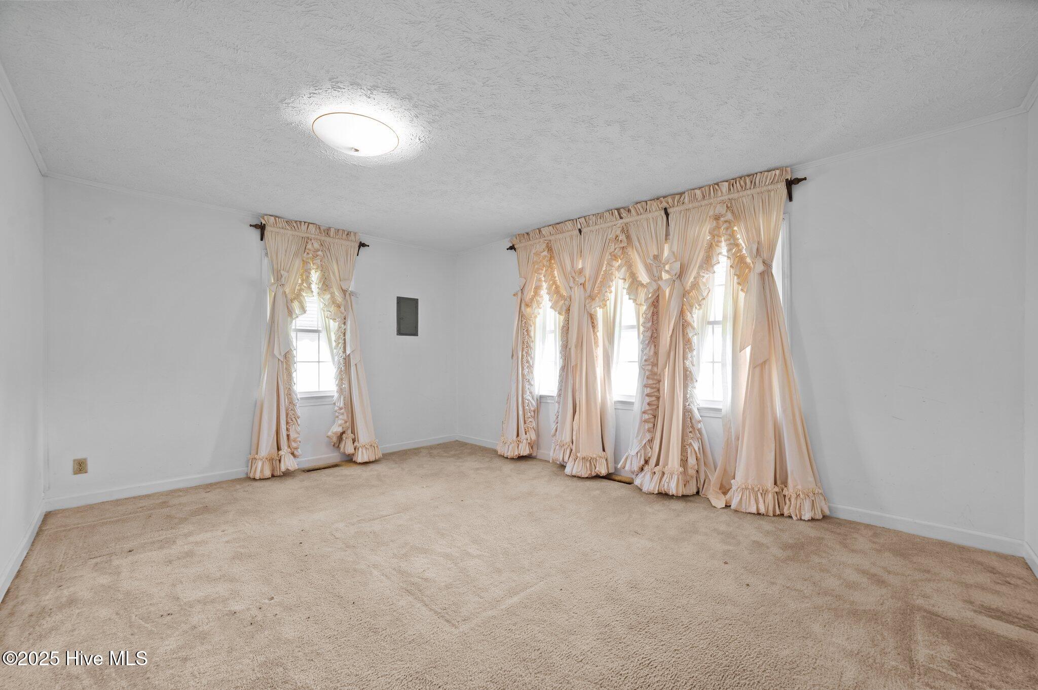 439 Vine Swamp Road Kinston, NC 28504 - Photo 28 of 46 25-web-or-mls-LHV_7662