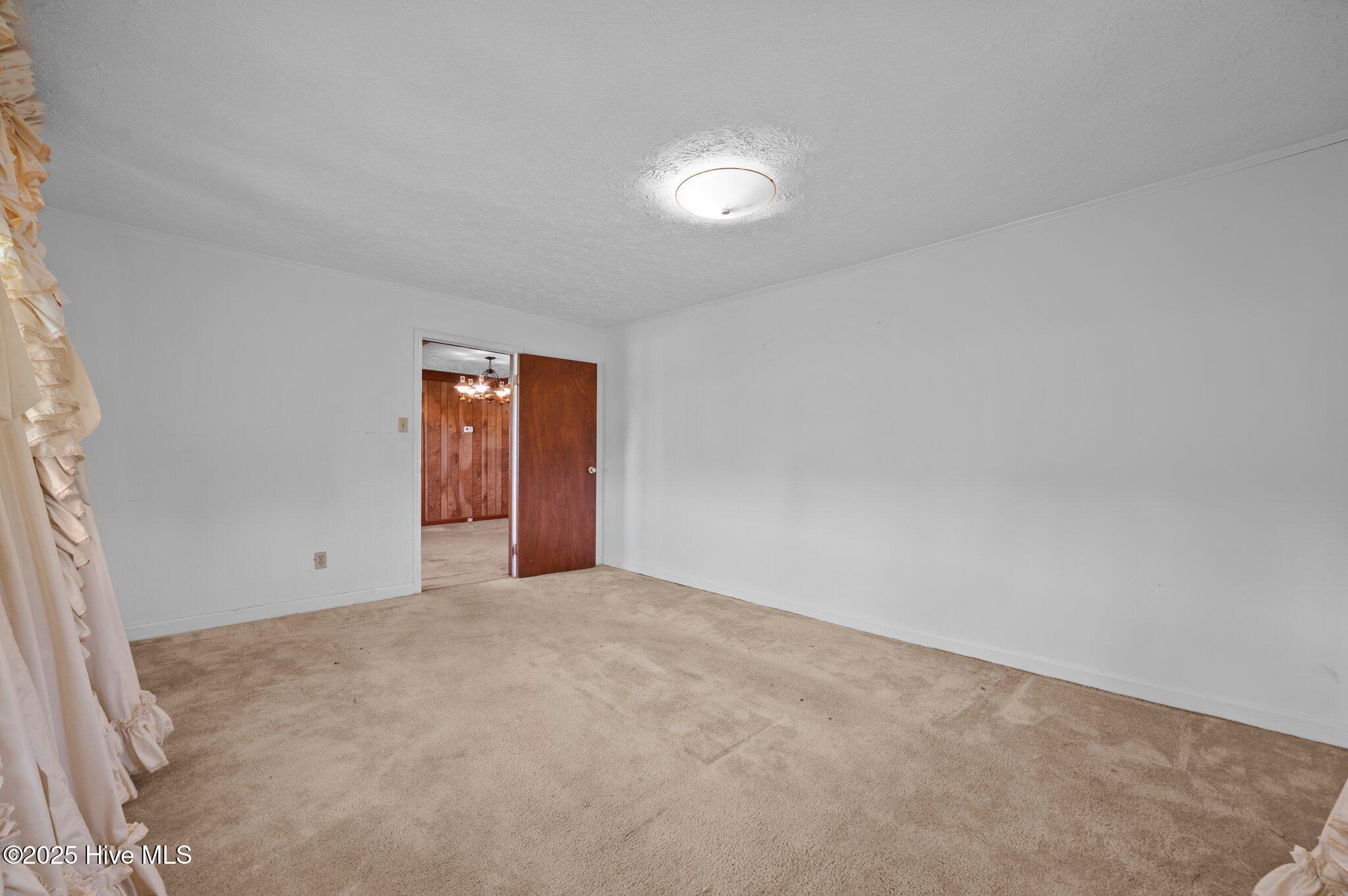 439 Vine Swamp Road Kinston, NC 28504 - Photo 30 of 46 27-web-or-mls-LHV_7668