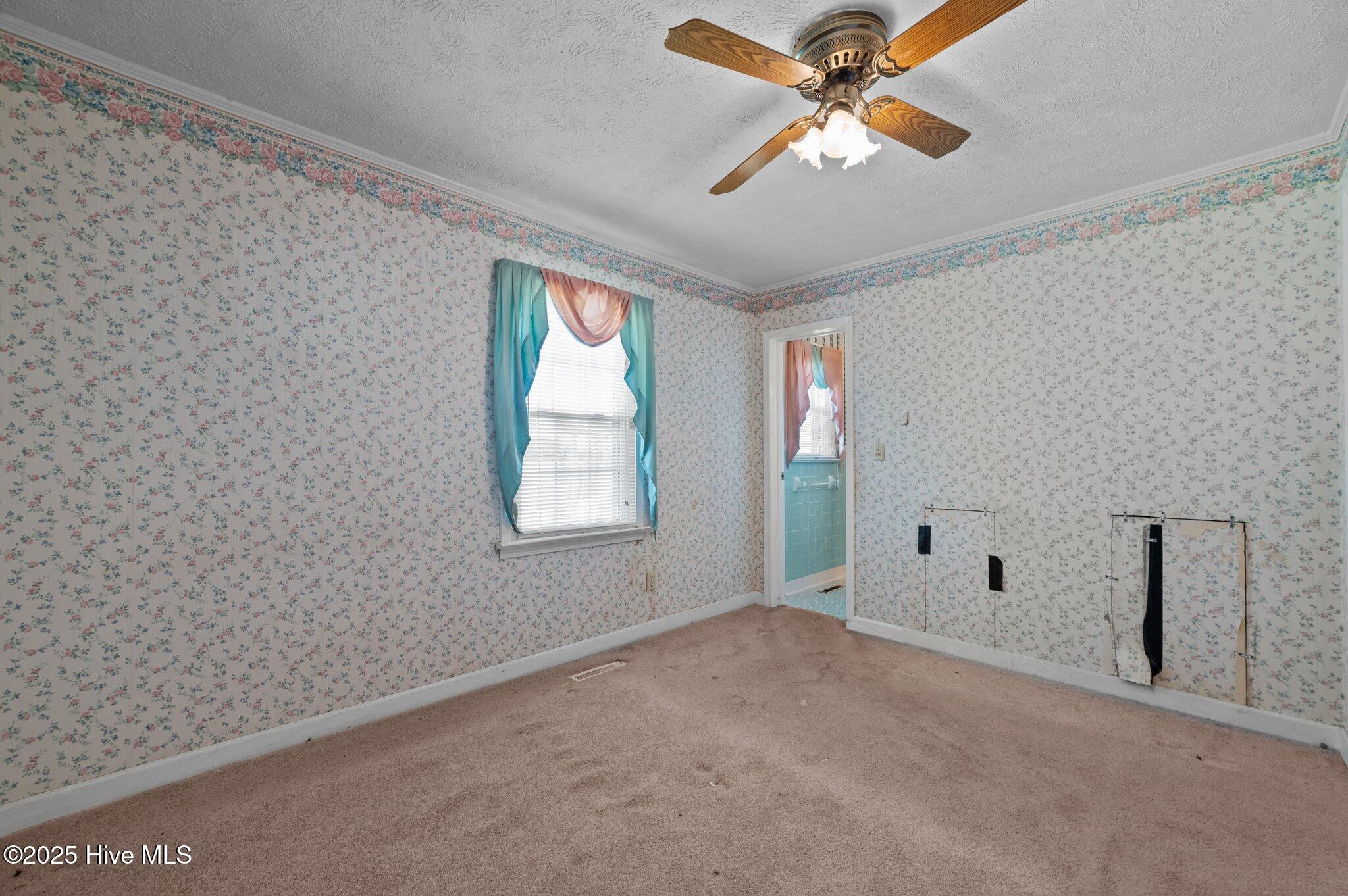 439 Vine Swamp Road Kinston, NC 28504 - Photo 36 of 46 32-web-or-mls-LHV_7683