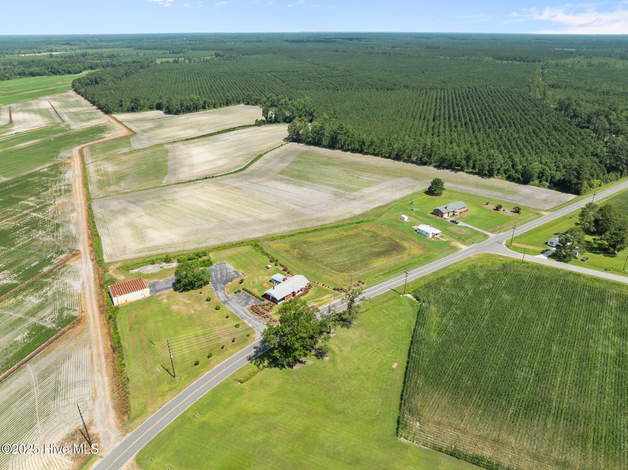 439 Vine Swamp Road Kinston, NC 28504 - Photo 42 of 46 10-web-or-mls-DJI_0114