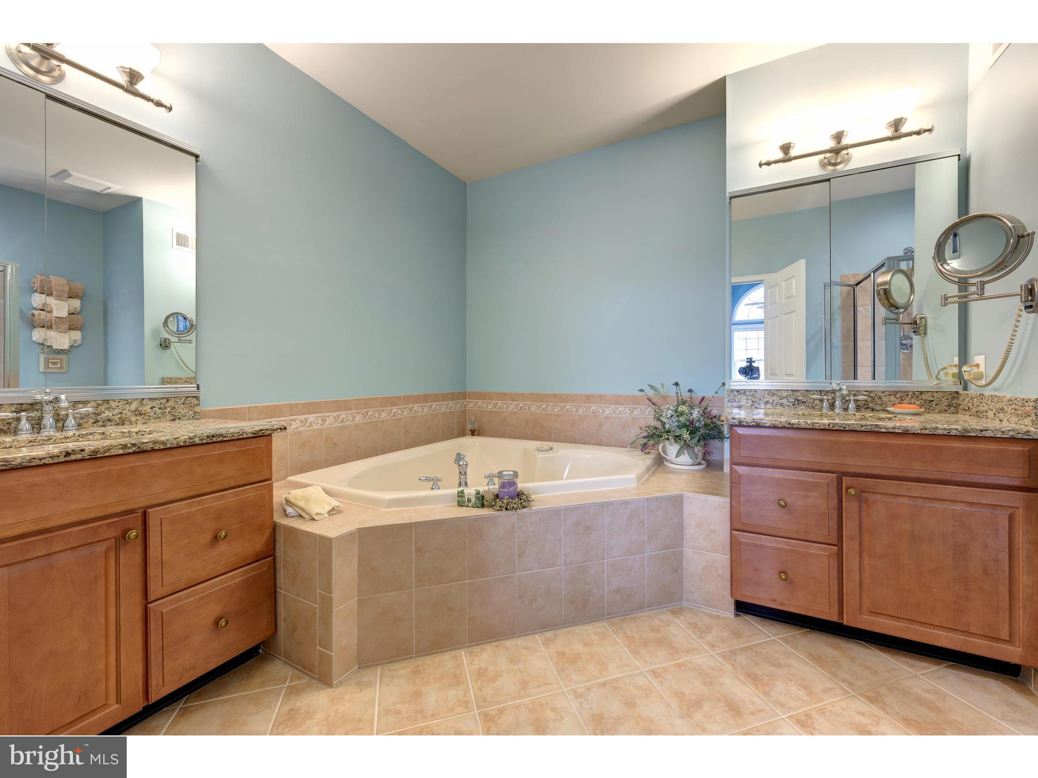 16 Eagle Road Phoenixville, PA 19460 - Photo 9 of 33 Master Bath Double Sinks