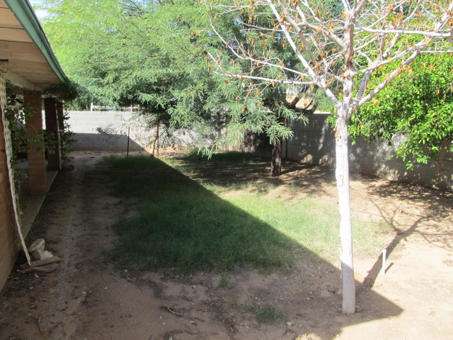 1404 West Colt Road Chandler, AZ 85224 - Photo 7 of 8 Back