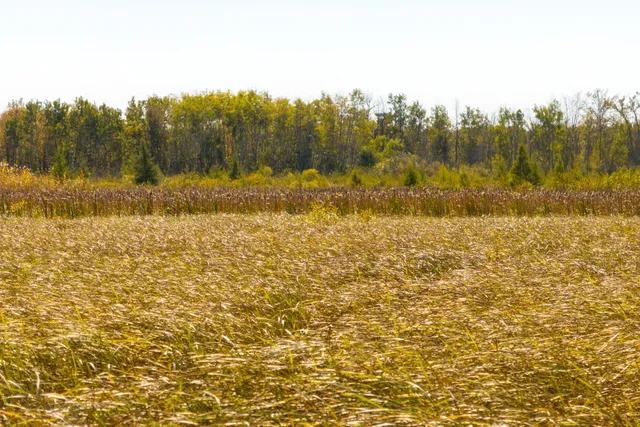 $149,000 | Tbd 350th Street, Onamia, MN 56359