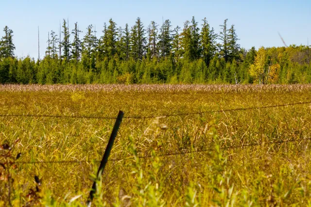 $149,000 | Tbd 350th Street, Onamia, MN 56359