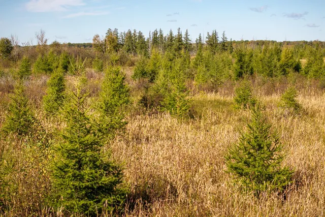 $149,000 | Tbd 350th Street, Onamia, MN 56359