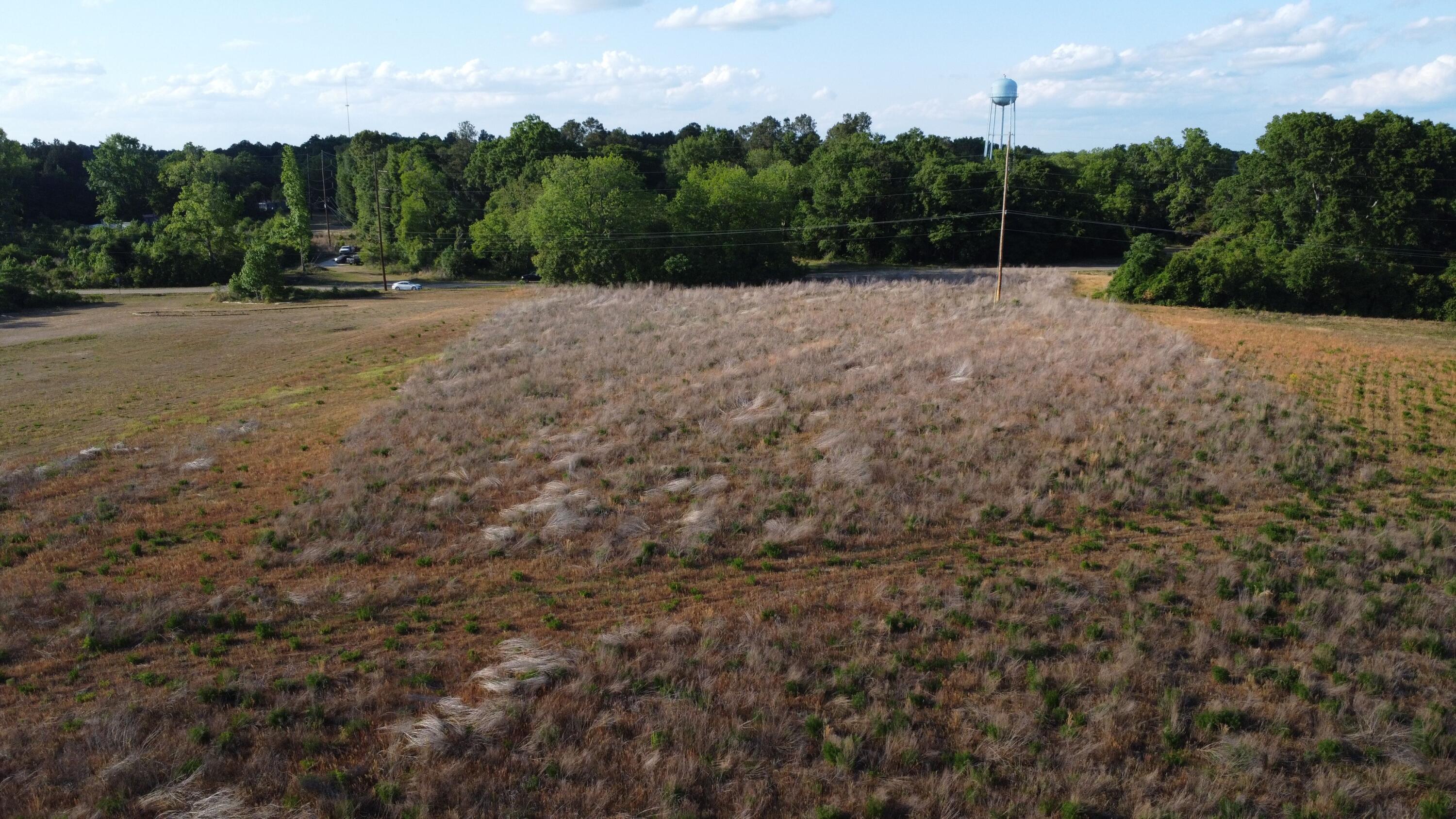 0 Rosemary Road Williston, SC 29853 - Photo 6 of 10