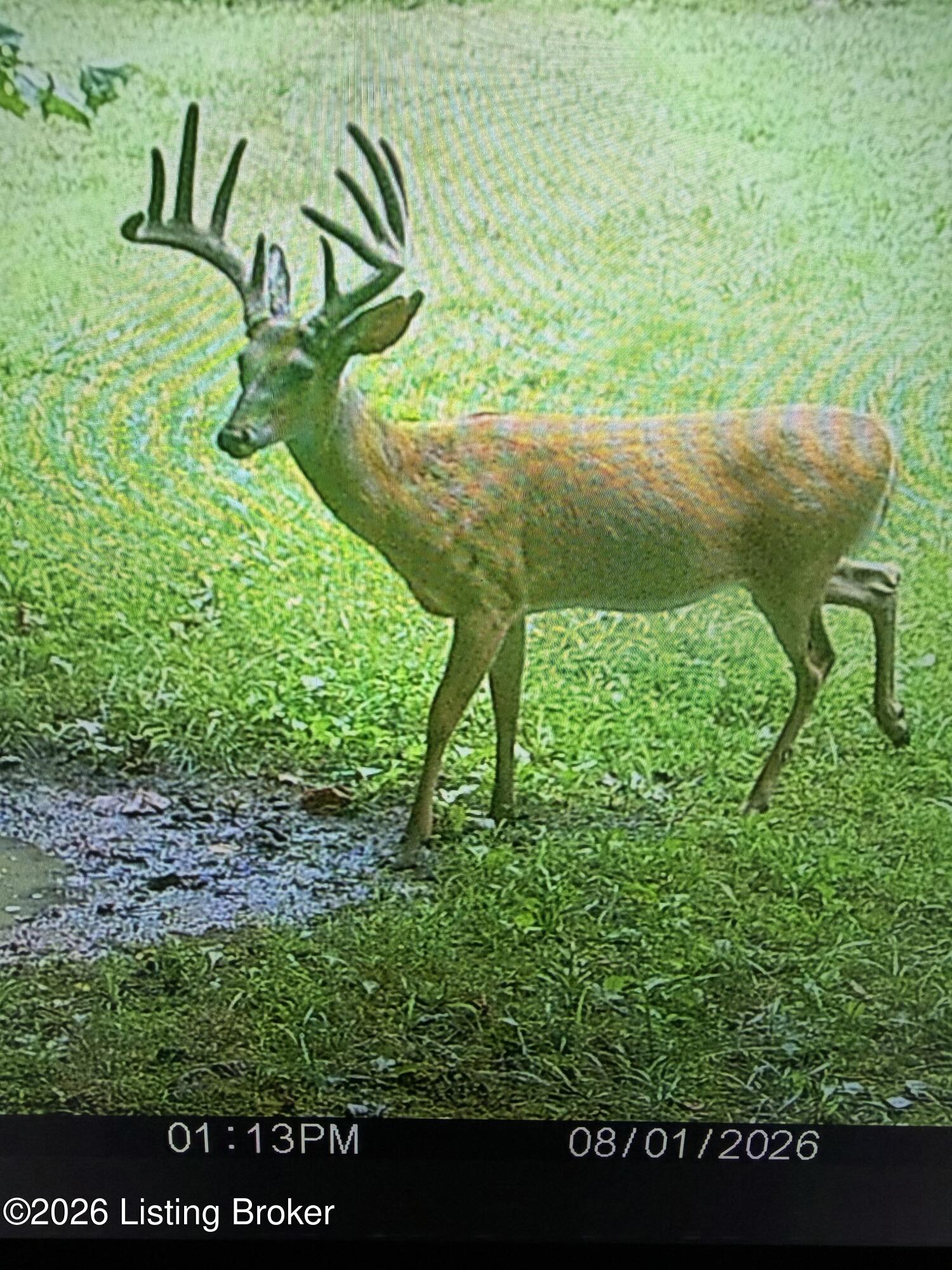 0 Wheeler Road Clarkson, KY 42726 - Photo 1 of 15 IMG_2870