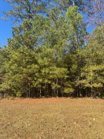 a view of outdoor space and trees
