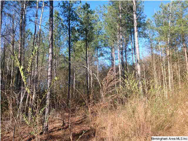 Peach Orchard Road, Unit 40 Ashland, AL 36251 - Photo 3 of 6 Gallery Image 3