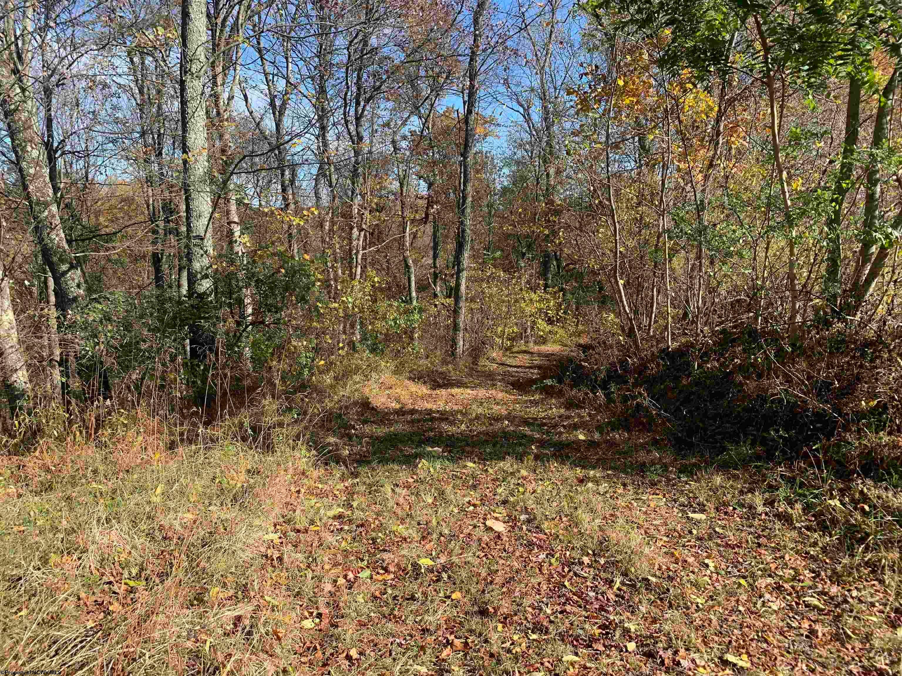 2208 Arden Road Philippi, WV 26416 - Photo 23 of 24 Gallery Image 23