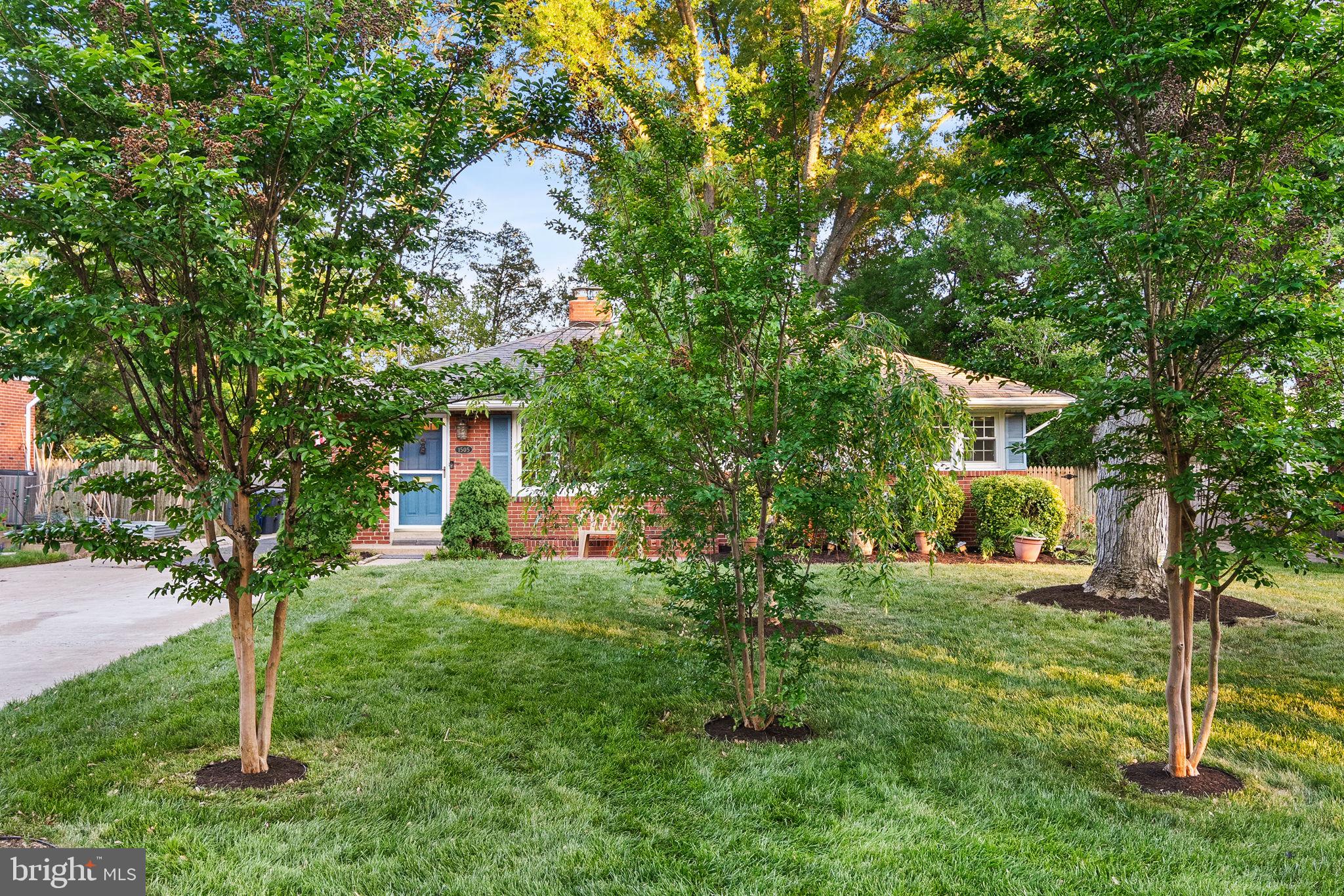 1505 Baltimore Road Alexandria, VA 22308 - Photo 46 of 50 Gallery Image 46