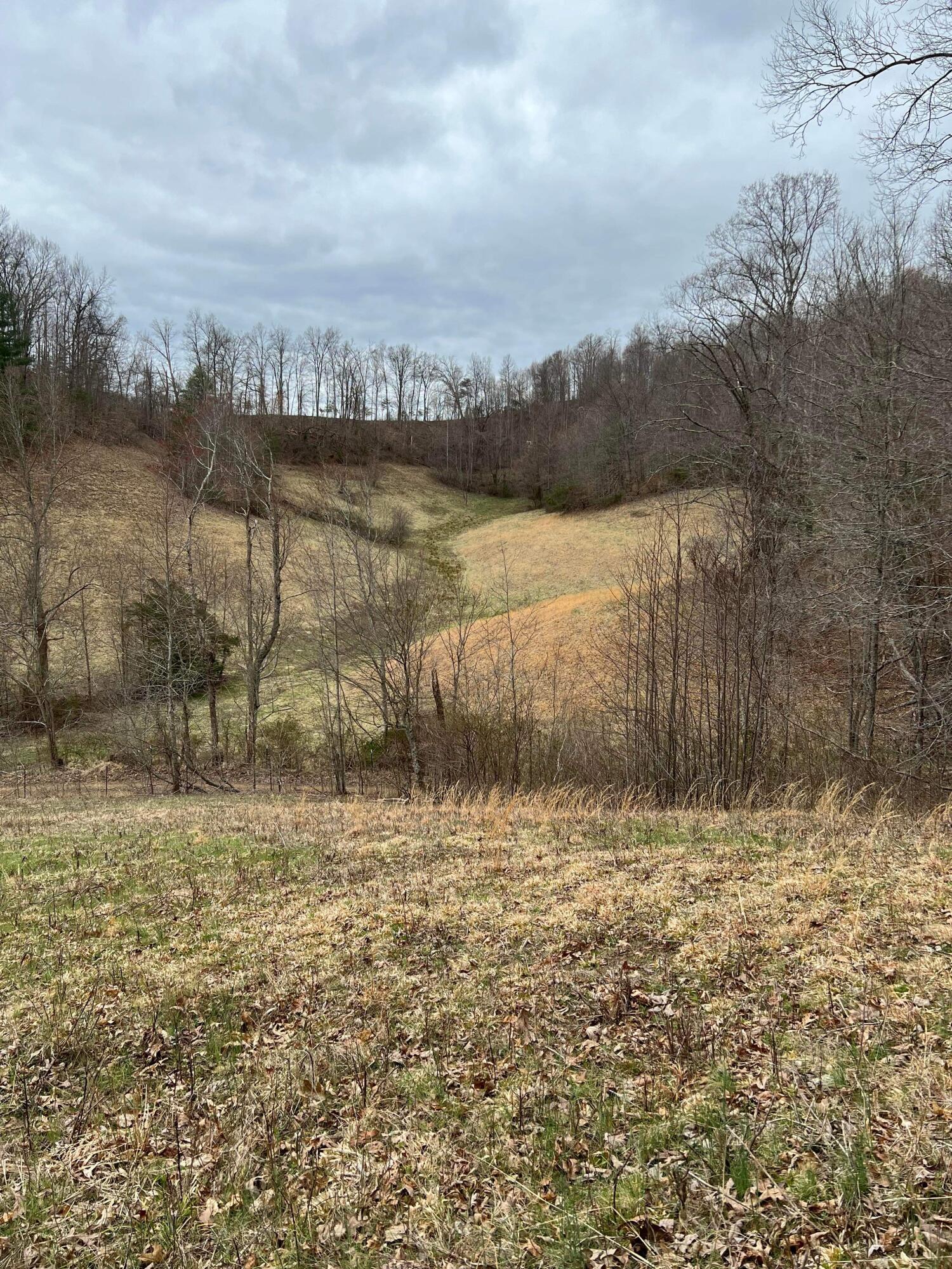 1 Dunn Road Campton, KY 41301 - Photo 6 of 69 IMG_7974