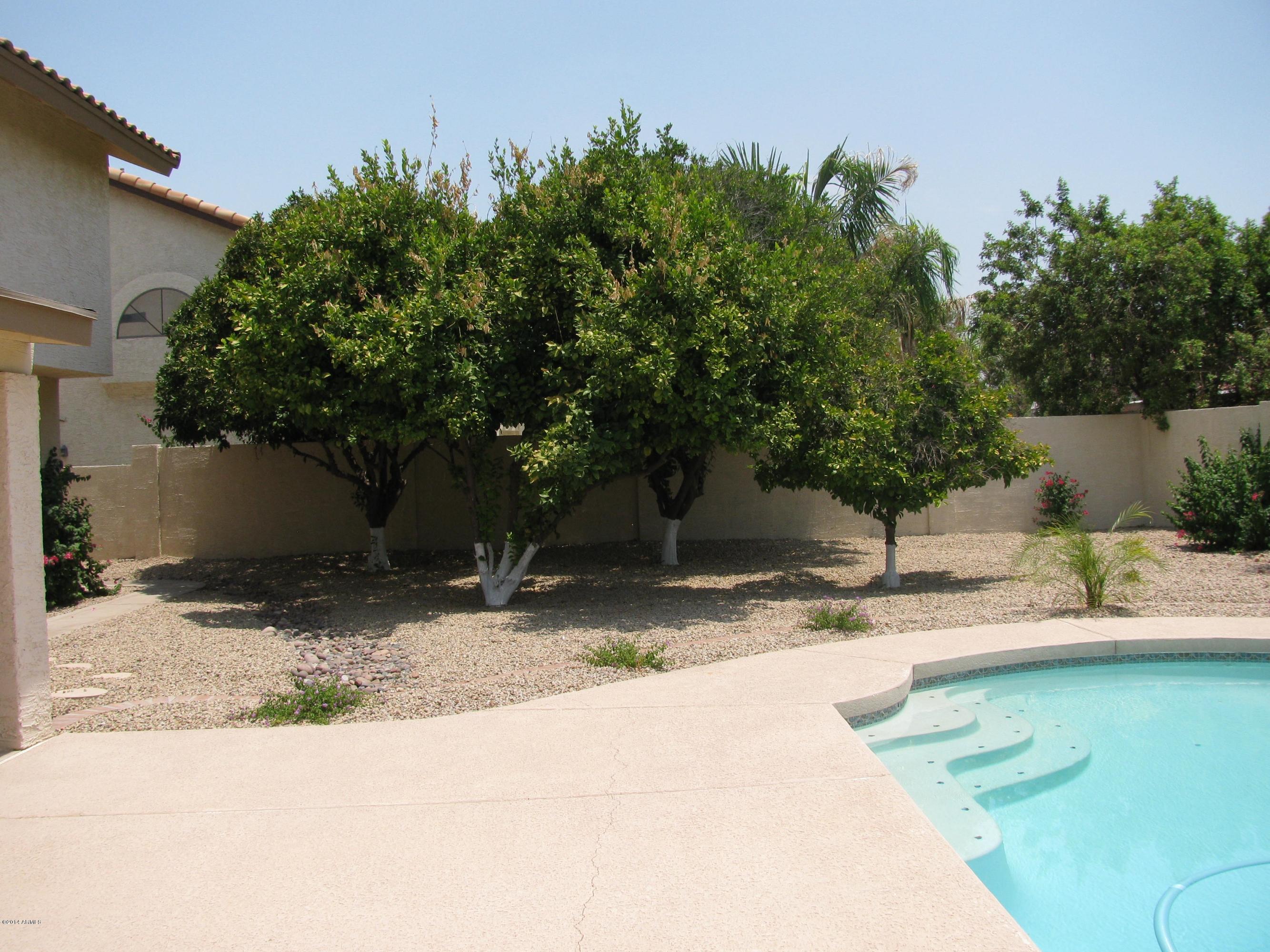 1959 East Ranch Road Tempe, AZ 85284 - Photo 21 of 27 9