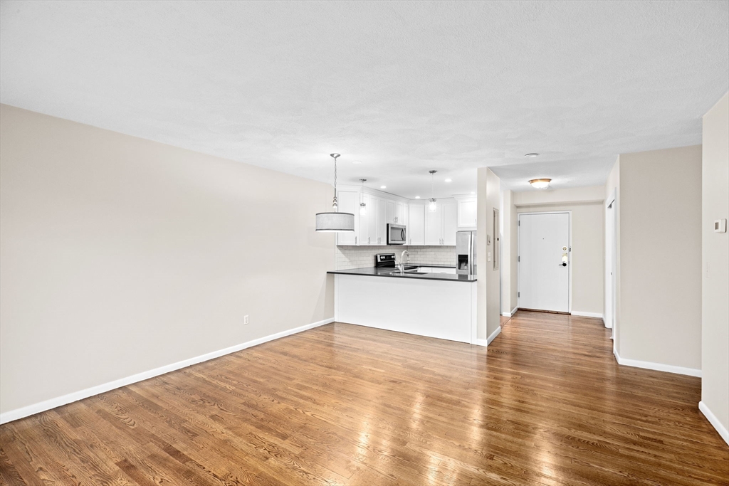 41 Centre Street, Unit 208 Brookline, MA 02446 - Photo 4 of 34