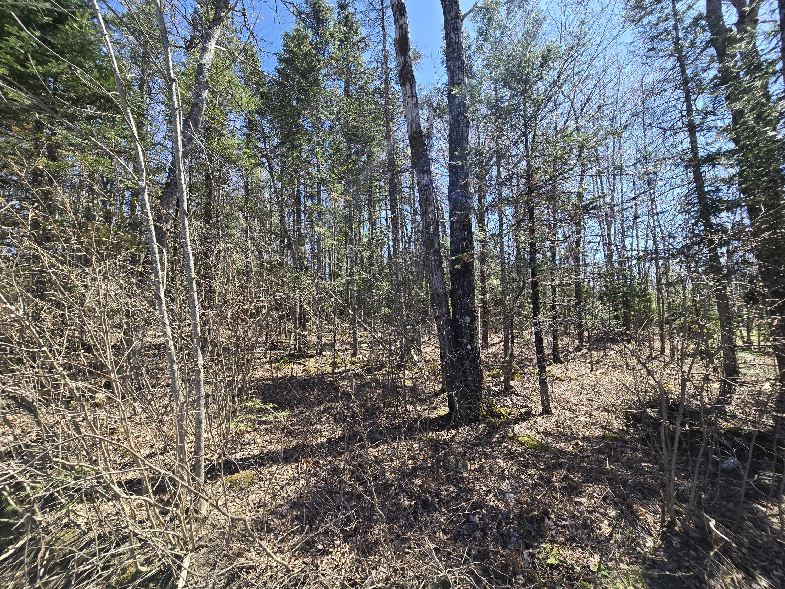 0 Grant Road Sangerville, ME 04479 - Photo 10 of 18 20250501_134419