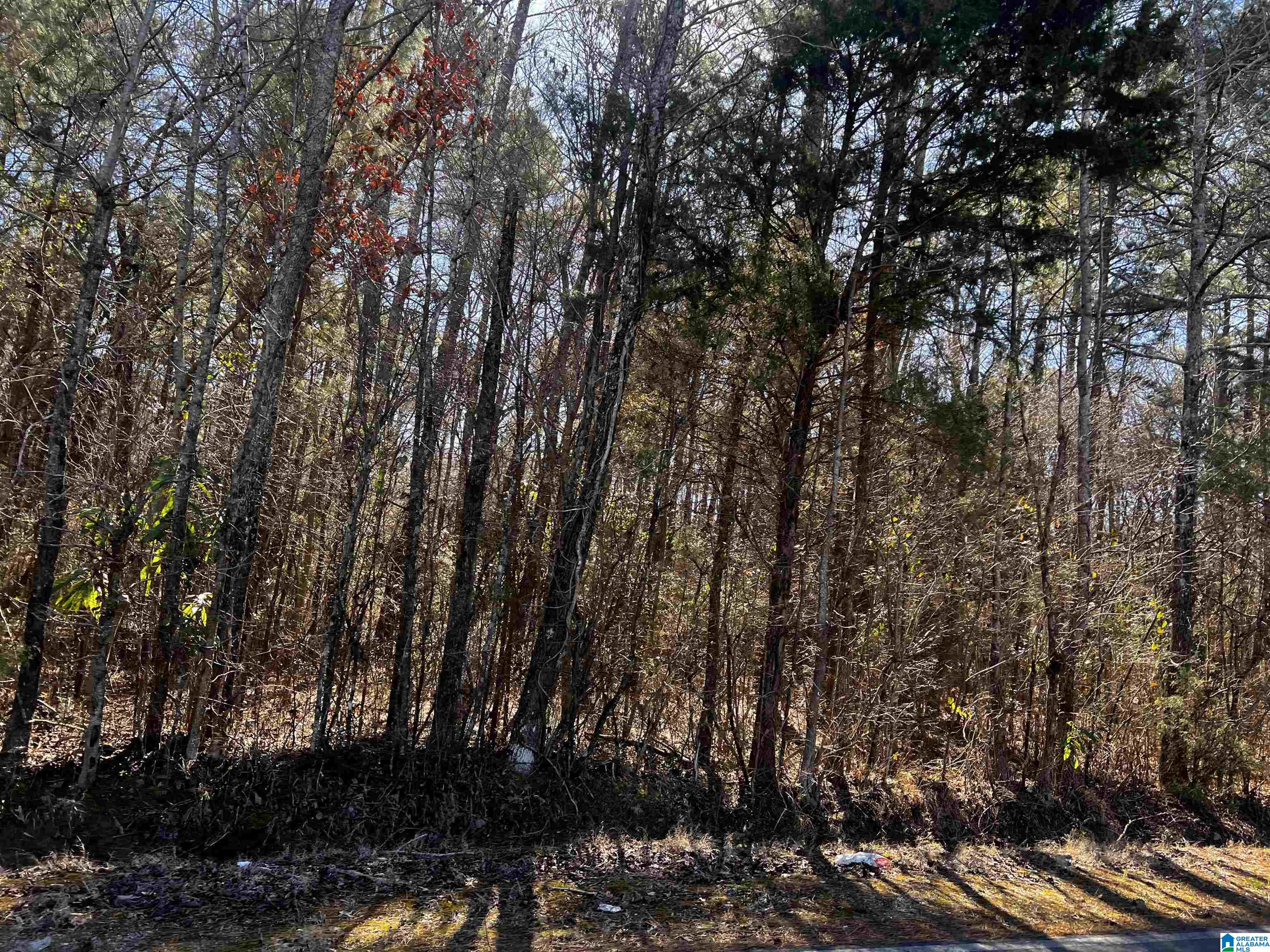 0 Wolf Creek Road North, Unit 10 ACRES Pell City, AL 35125 - Photo 9 of 15