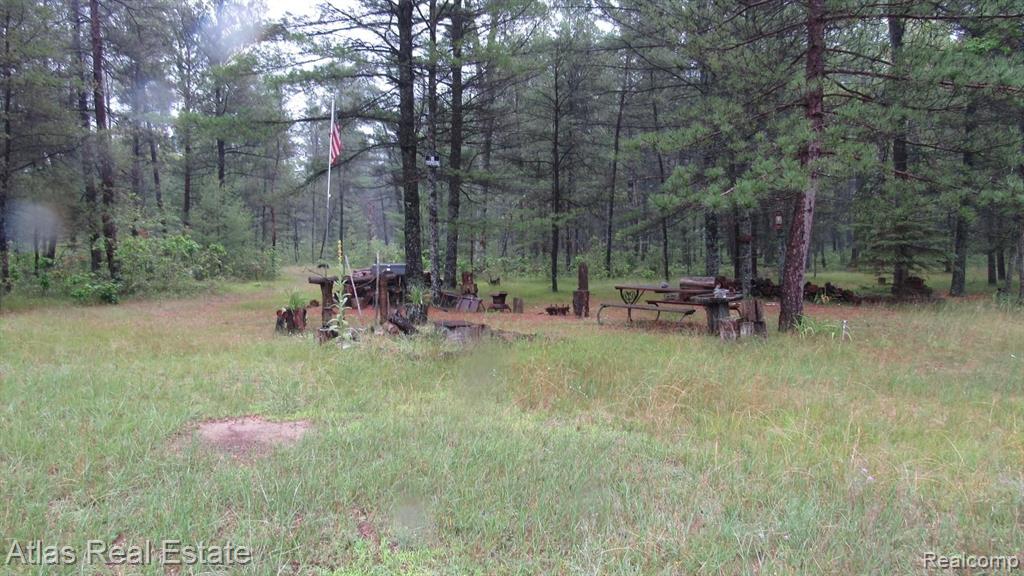 5419 Curtis Road Hale, MI 48739 - Photo 9 of 21