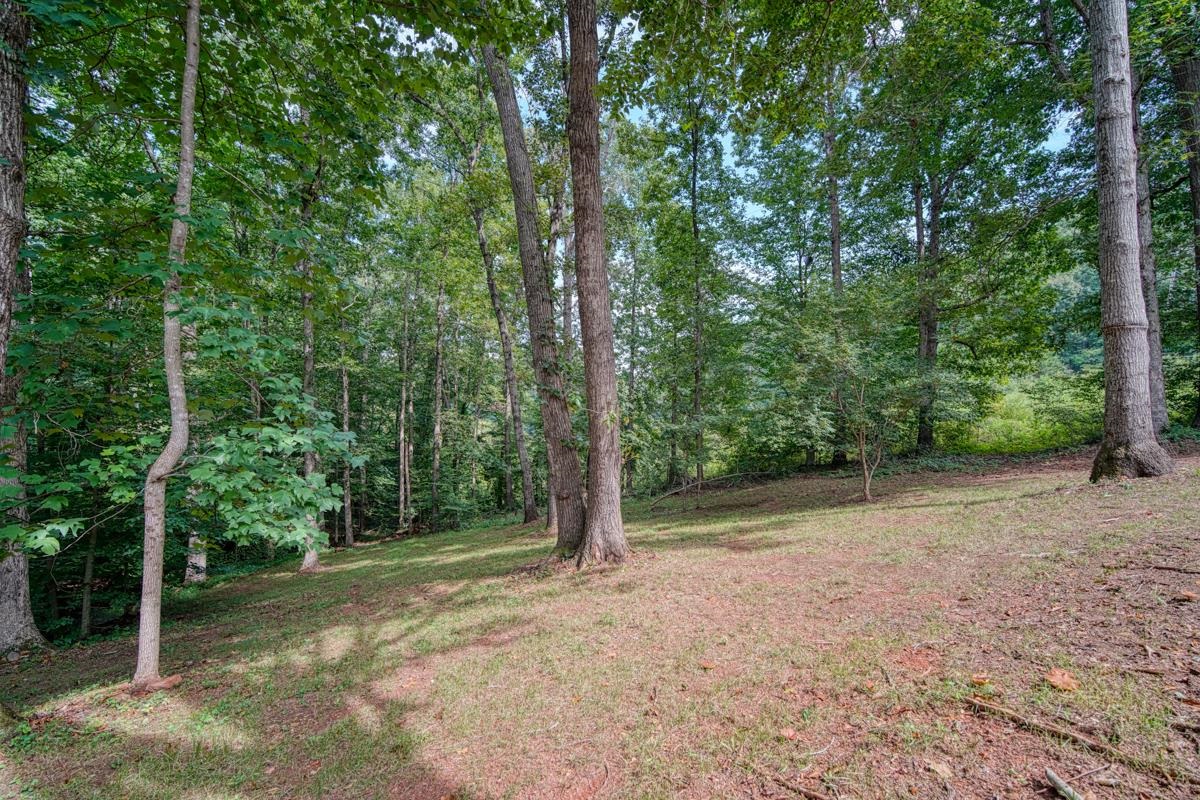 199 State Rd S-42-4294 Duncan, SC 29334 - Photo 33 of 35
