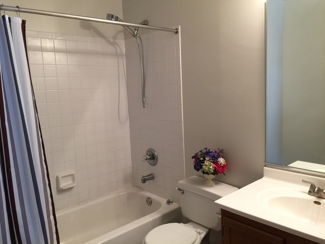 2710 Idaho Road Naperville, IL 60564 - Photo 12 of 13