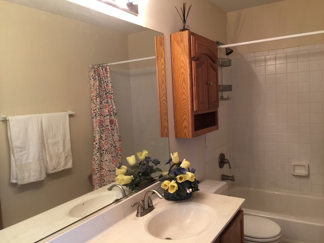 2710 Idaho Road Naperville, IL 60564 - Photo 9 of 13