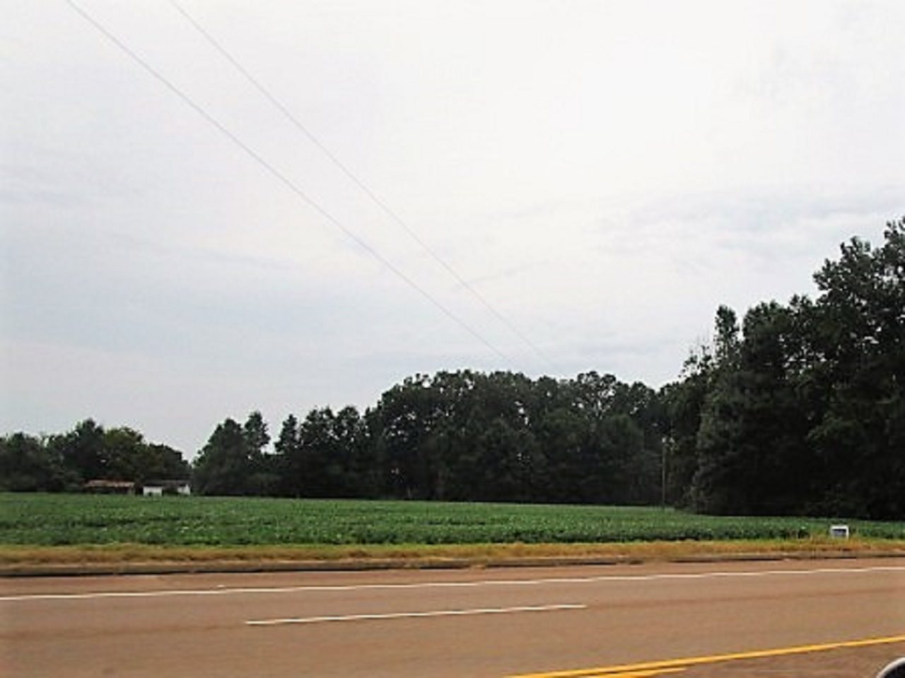 0 45th Highway South Ramer, TN 38367 - Photo 5 of 6 Gallery Image 5