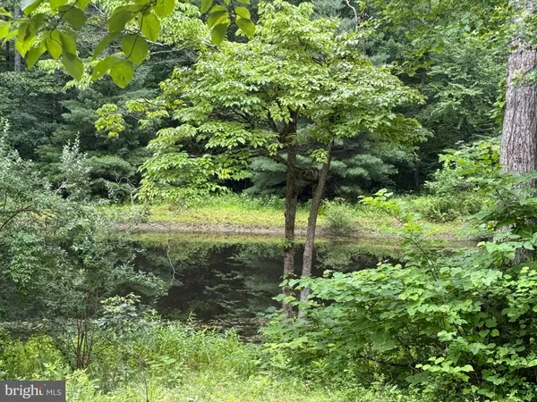 $229,500 | West Hoover Road, Reva, VA 22735
