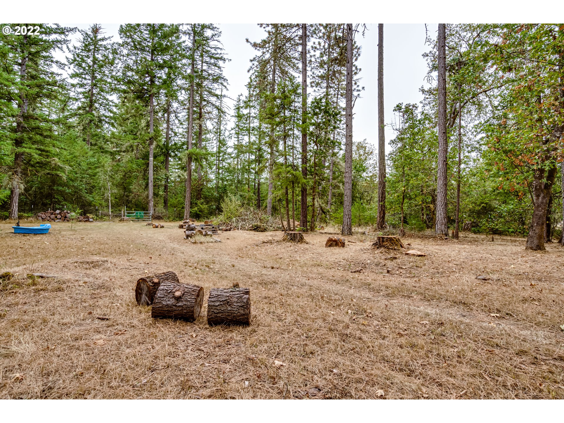 25322 Perkins Road Veneta, OR 97487 - Photo 29 of 30 Gallery Image 29