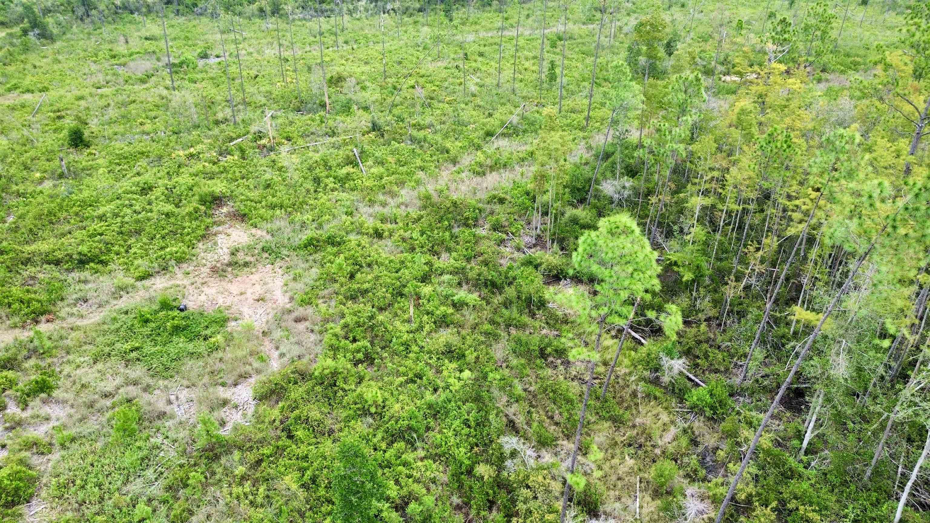 0 Circle Block Loop Perry, FL 32347 - Photo 1 of 31