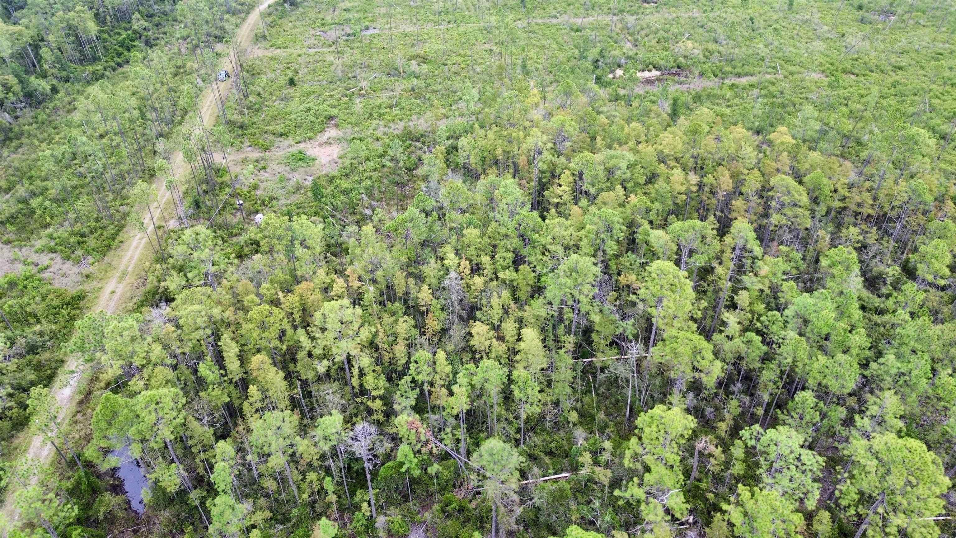 0 Circle Block Loop Perry, FL 32347 - Photo 11 of 31