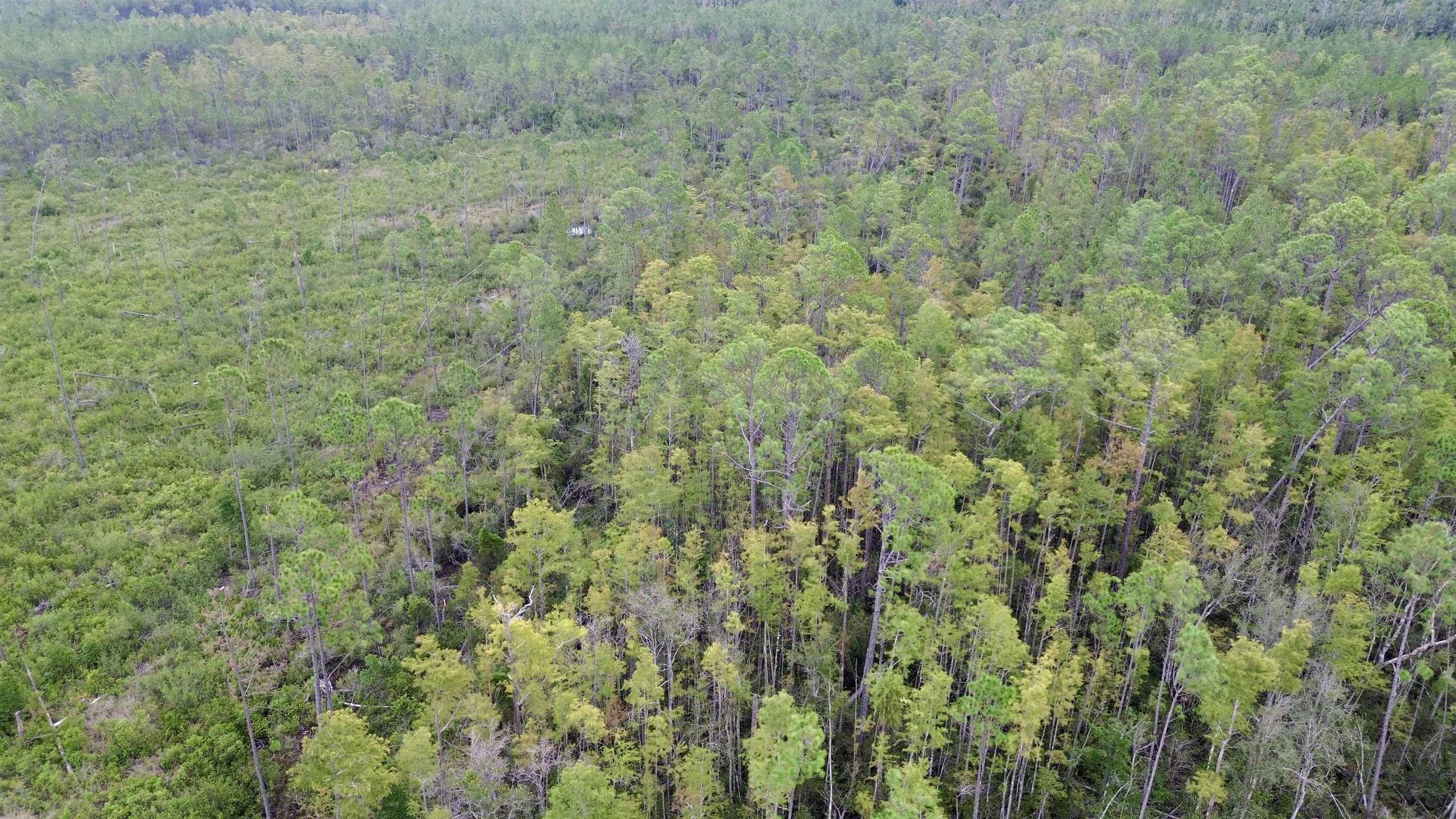 0 Circle Block Loop Perry, FL 32347 - Photo 12 of 31