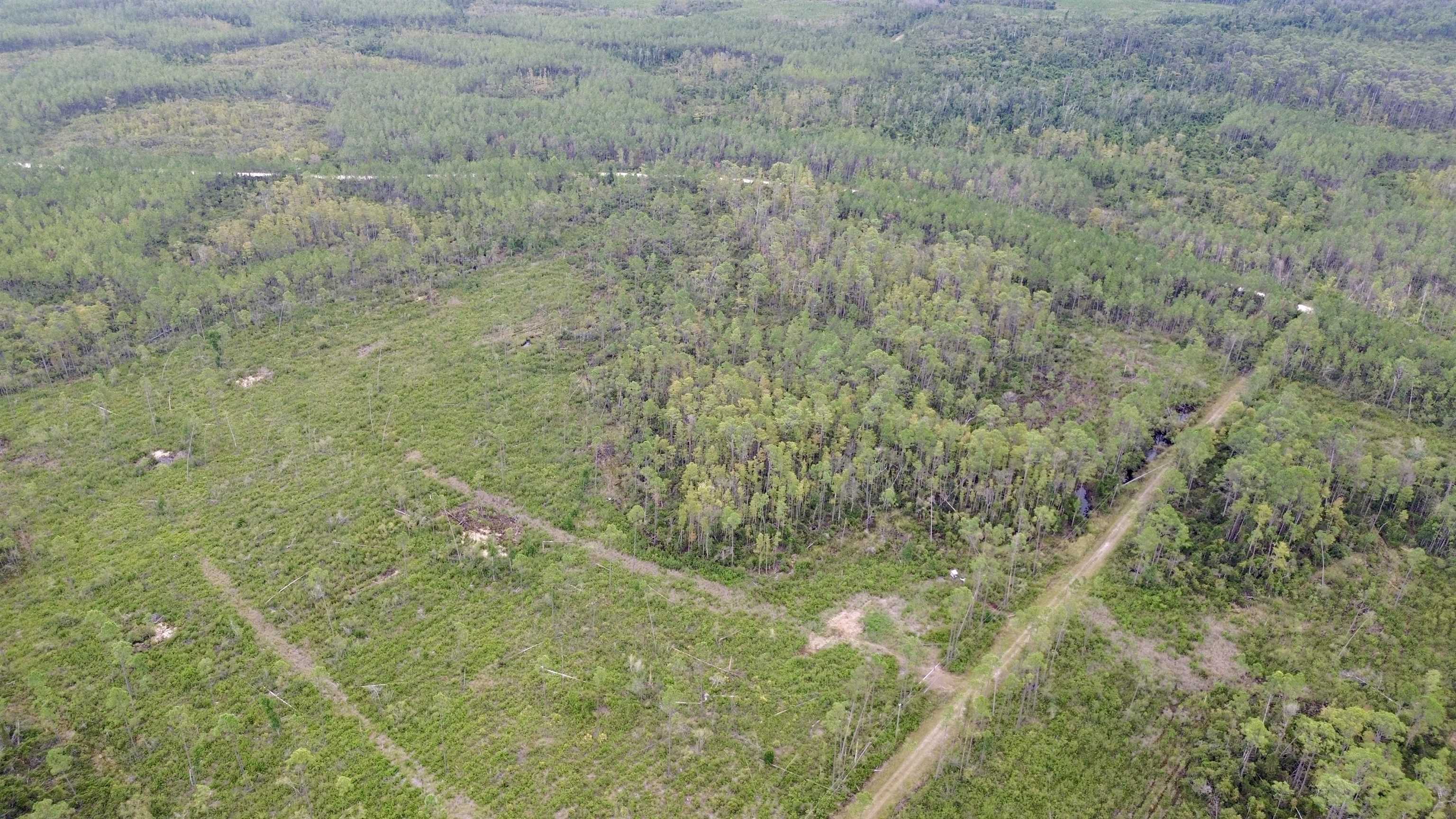0 Circle Block Loop Perry, FL 32347 - Photo 13 of 31