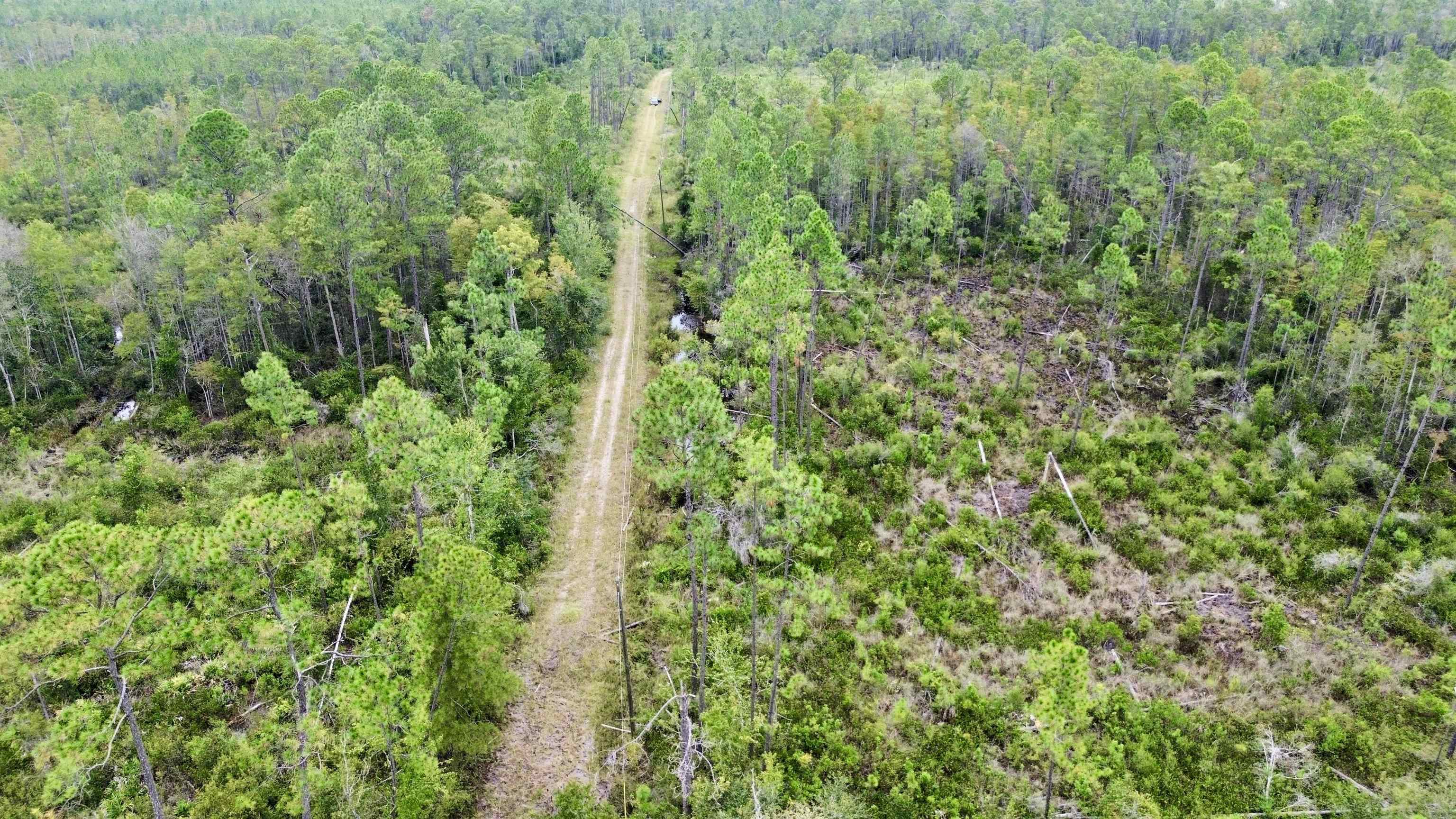 0 Circle Block Loop Perry, FL 32347 - Photo 14 of 31