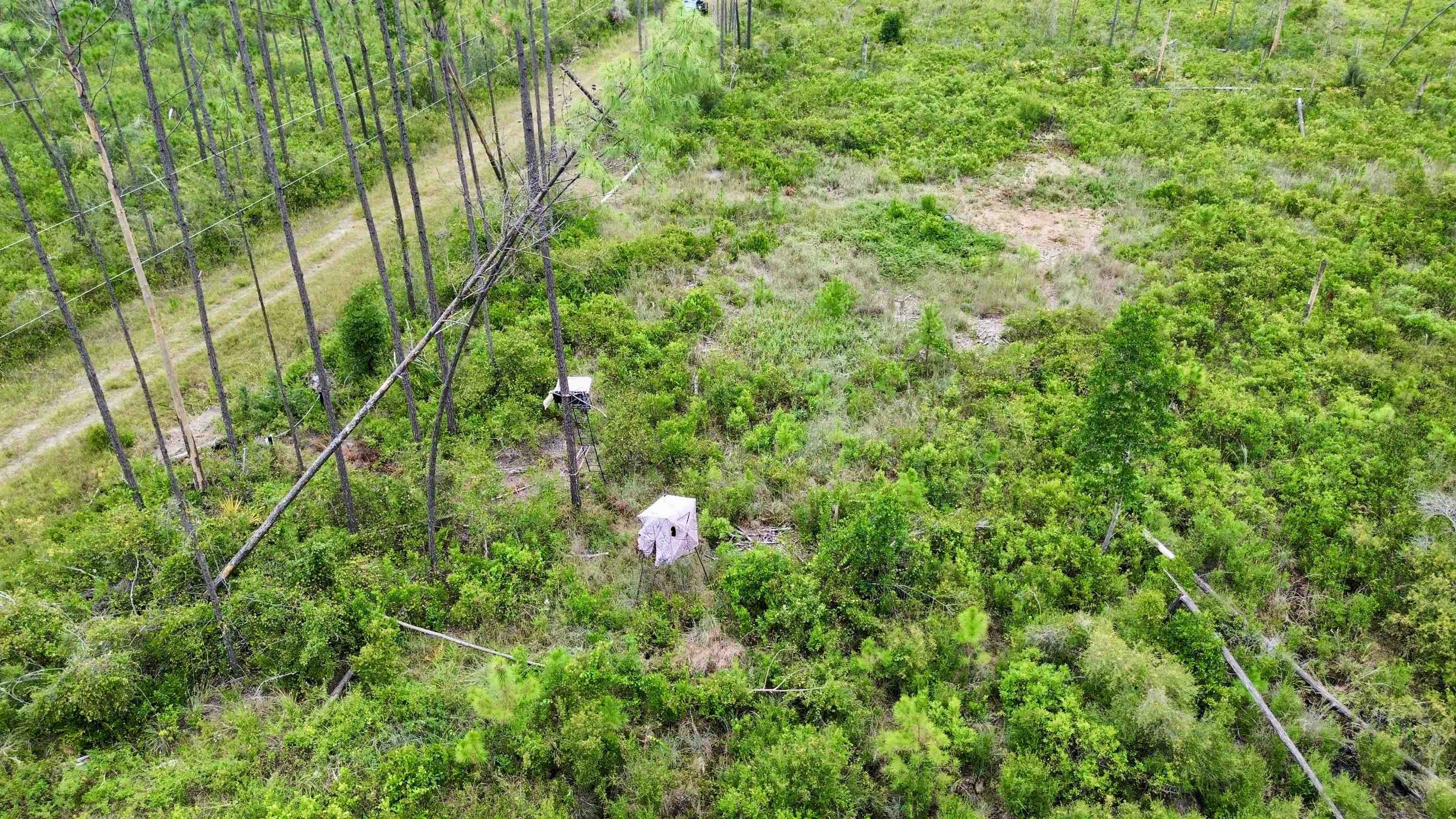 0 Circle Block Loop Perry, FL 32347 - Photo 15 of 31