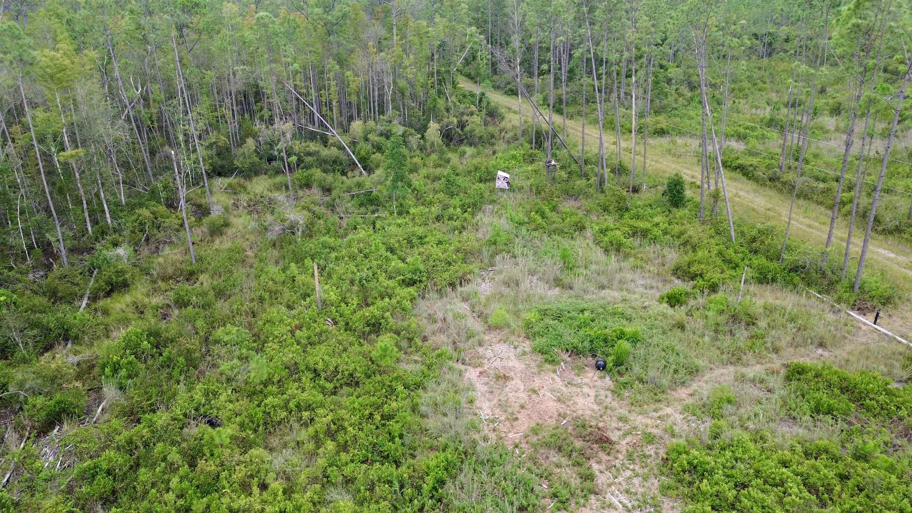 0 Circle Block Loop Perry, FL 32347 - Photo 16 of 31