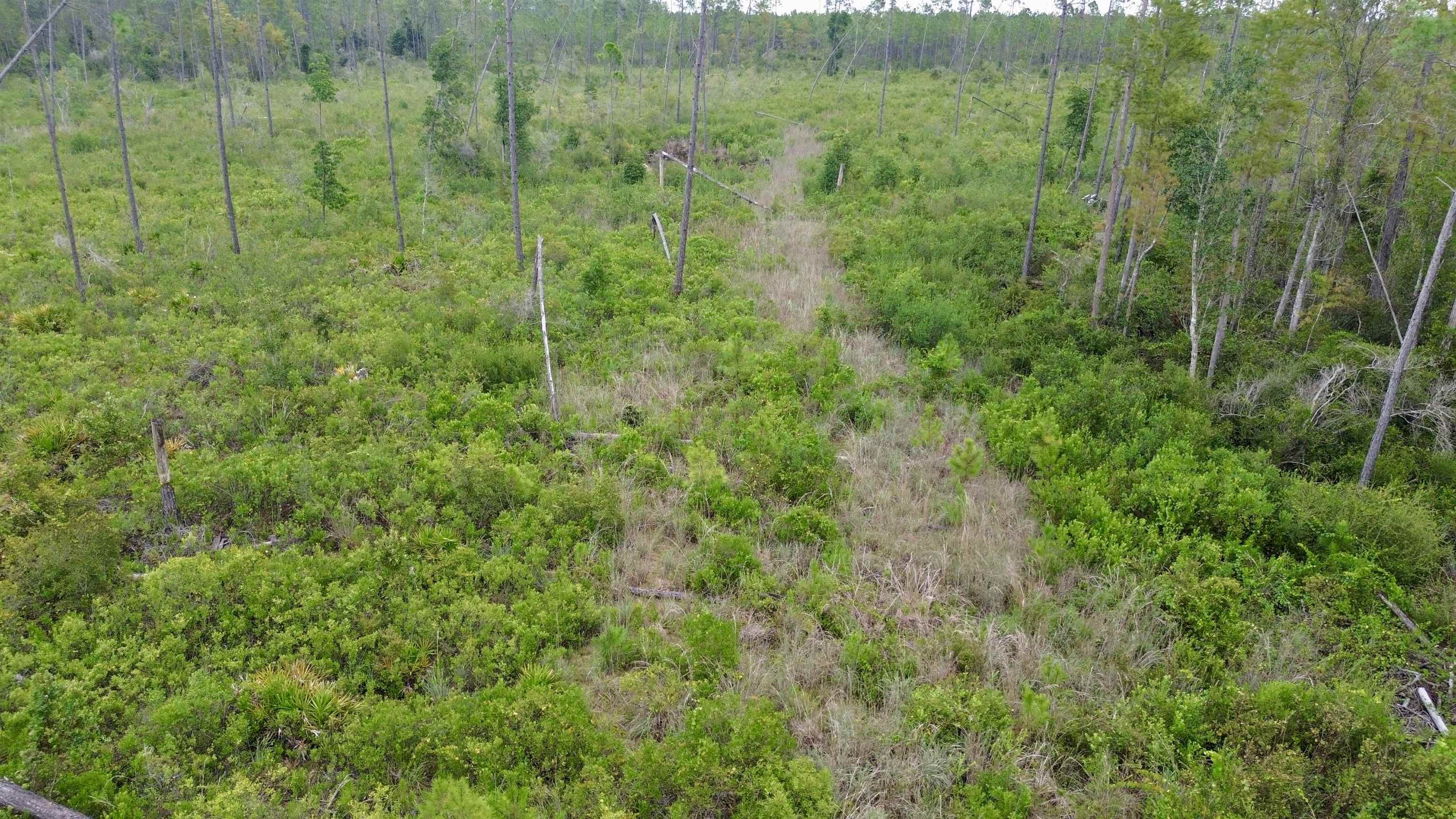 0 Circle Block Loop Perry, FL 32347 - Photo 17 of 31