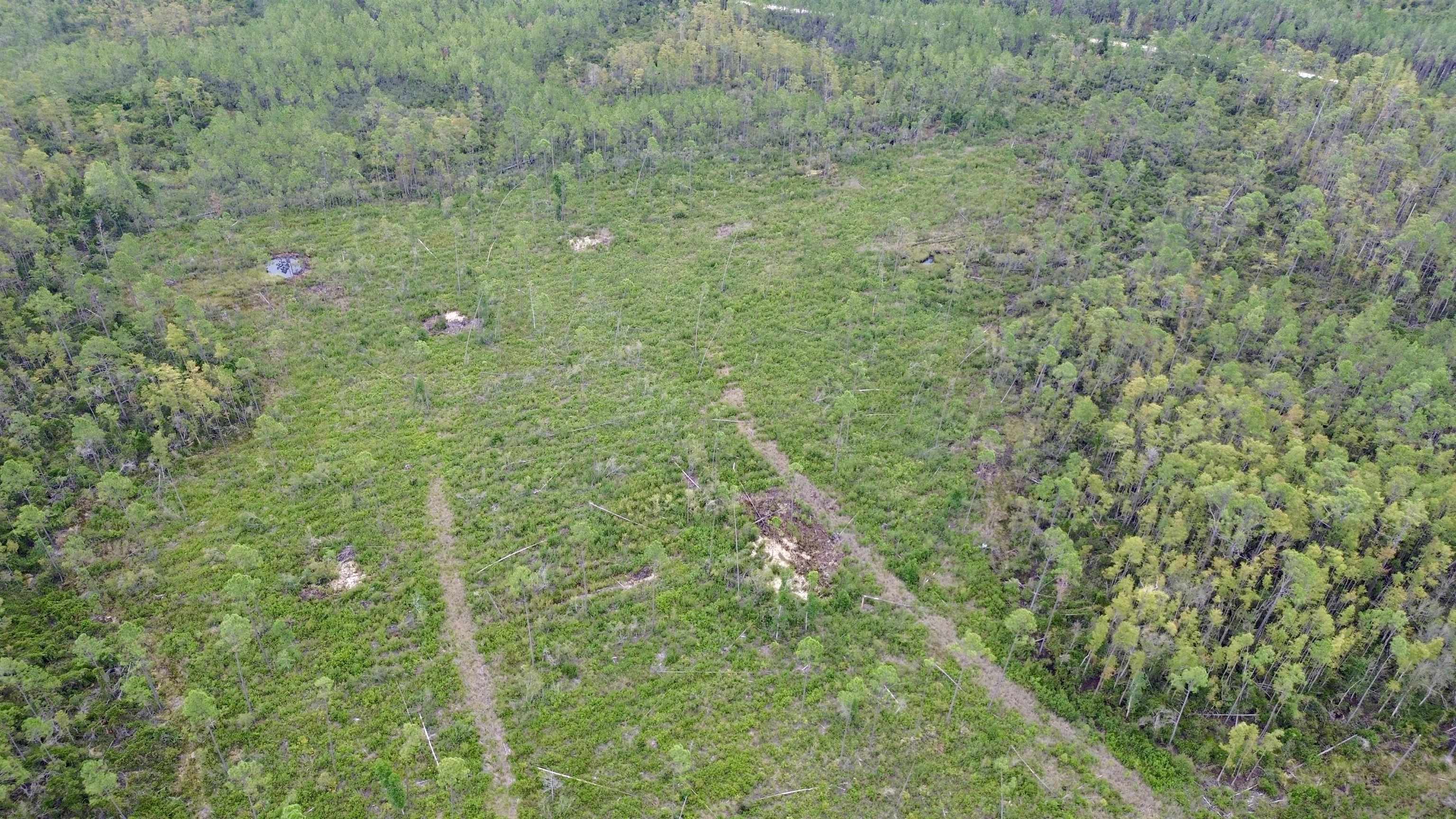 0 Circle Block Loop Perry, FL 32347 - Photo 18 of 31