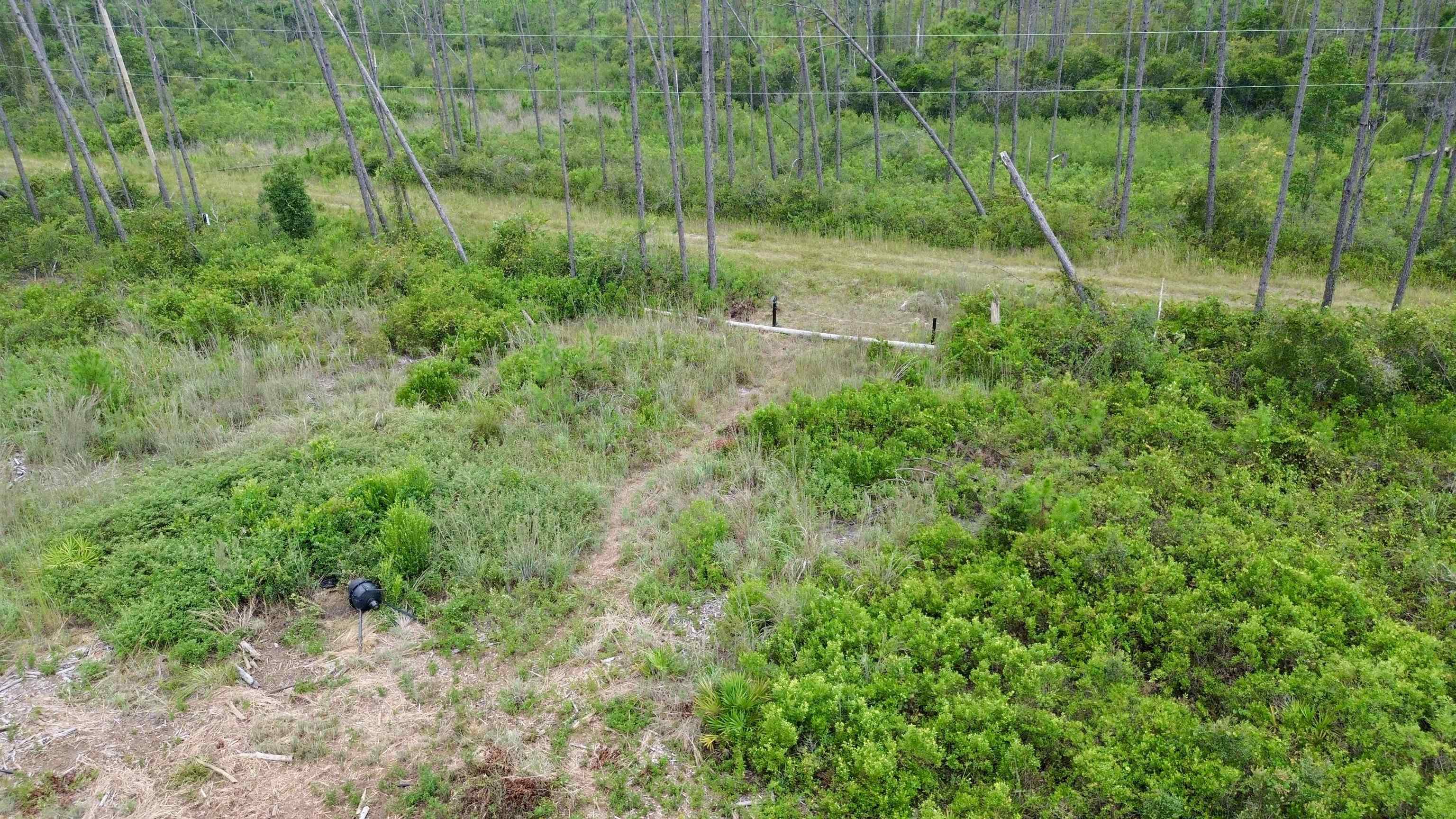 0 Circle Block Loop Perry, FL 32347 - Photo 19 of 31