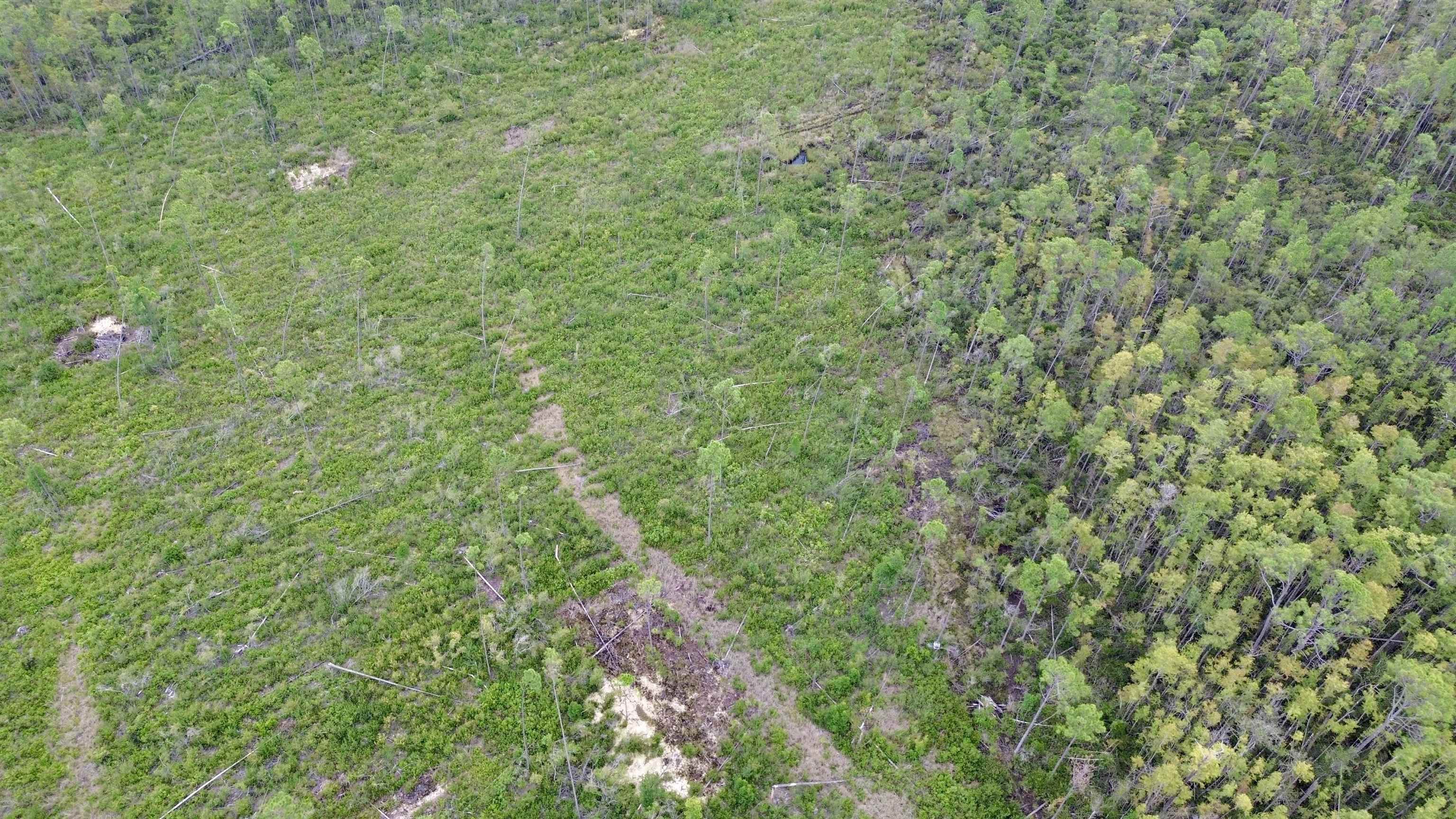 0 Circle Block Loop Perry, FL 32347 - Photo 20 of 31