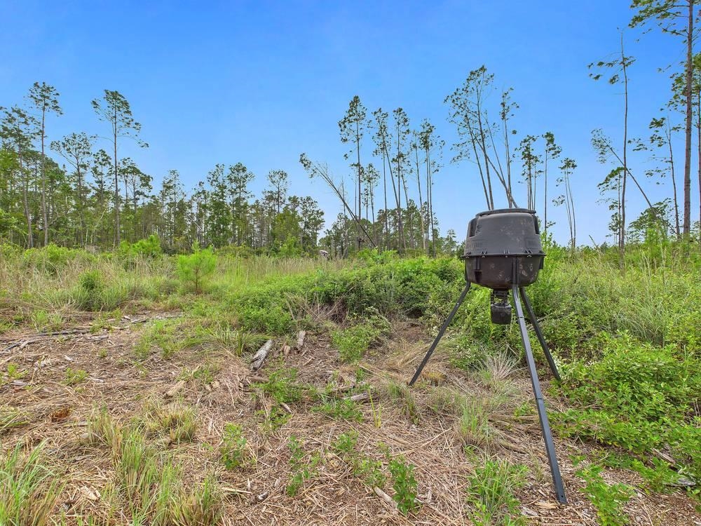 0 Circle Block Loop Perry, FL 32347 - Photo 2 of 31