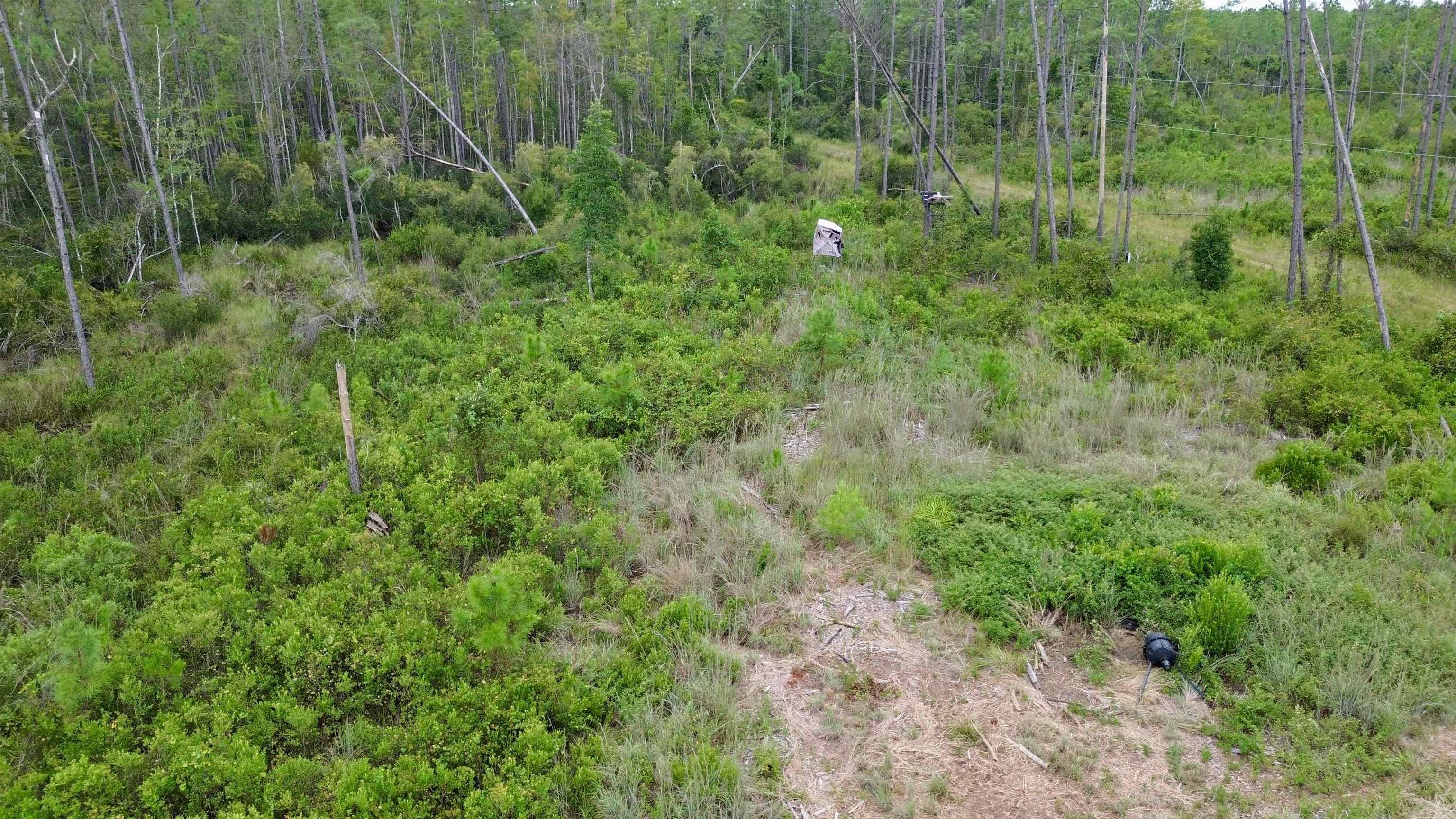 0 Circle Block Loop Perry, FL 32347 - Photo 21 of 31