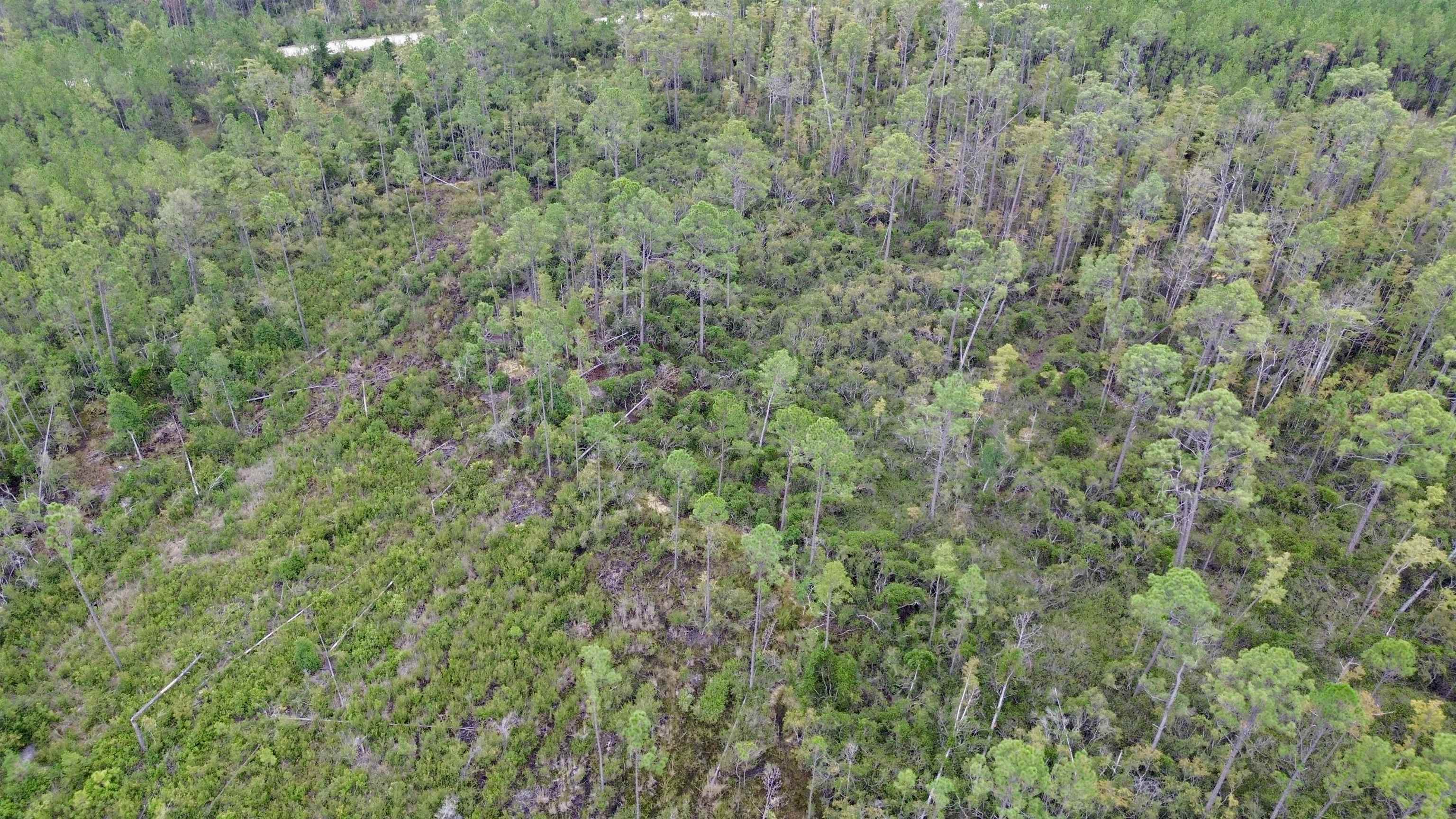 0 Circle Block Loop Perry, FL 32347 - Photo 22 of 31