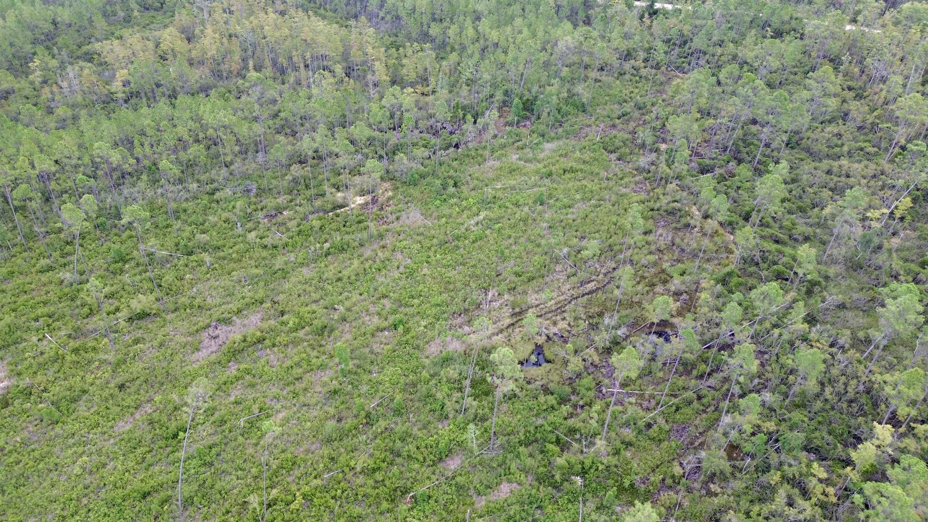 0 Circle Block Loop Perry, FL 32347 - Photo 23 of 31