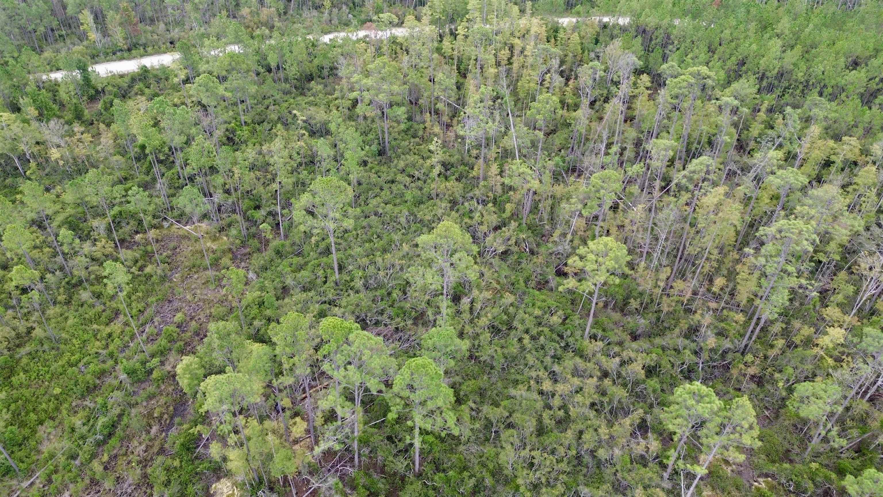 0 Circle Block Loop Perry, FL 32347 - Photo 24 of 31