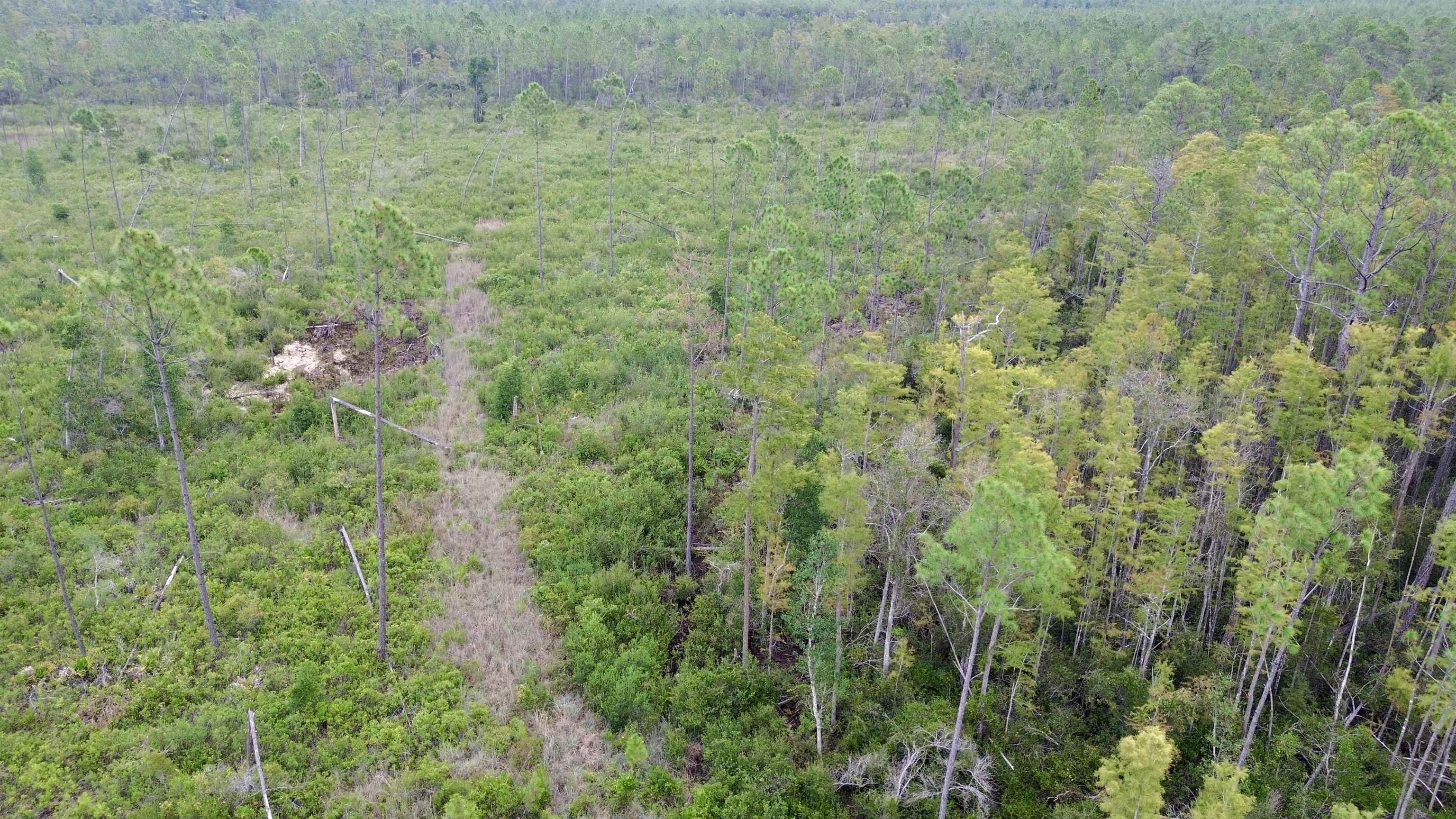 0 Circle Block Loop Perry, FL 32347 - Photo 25 of 31