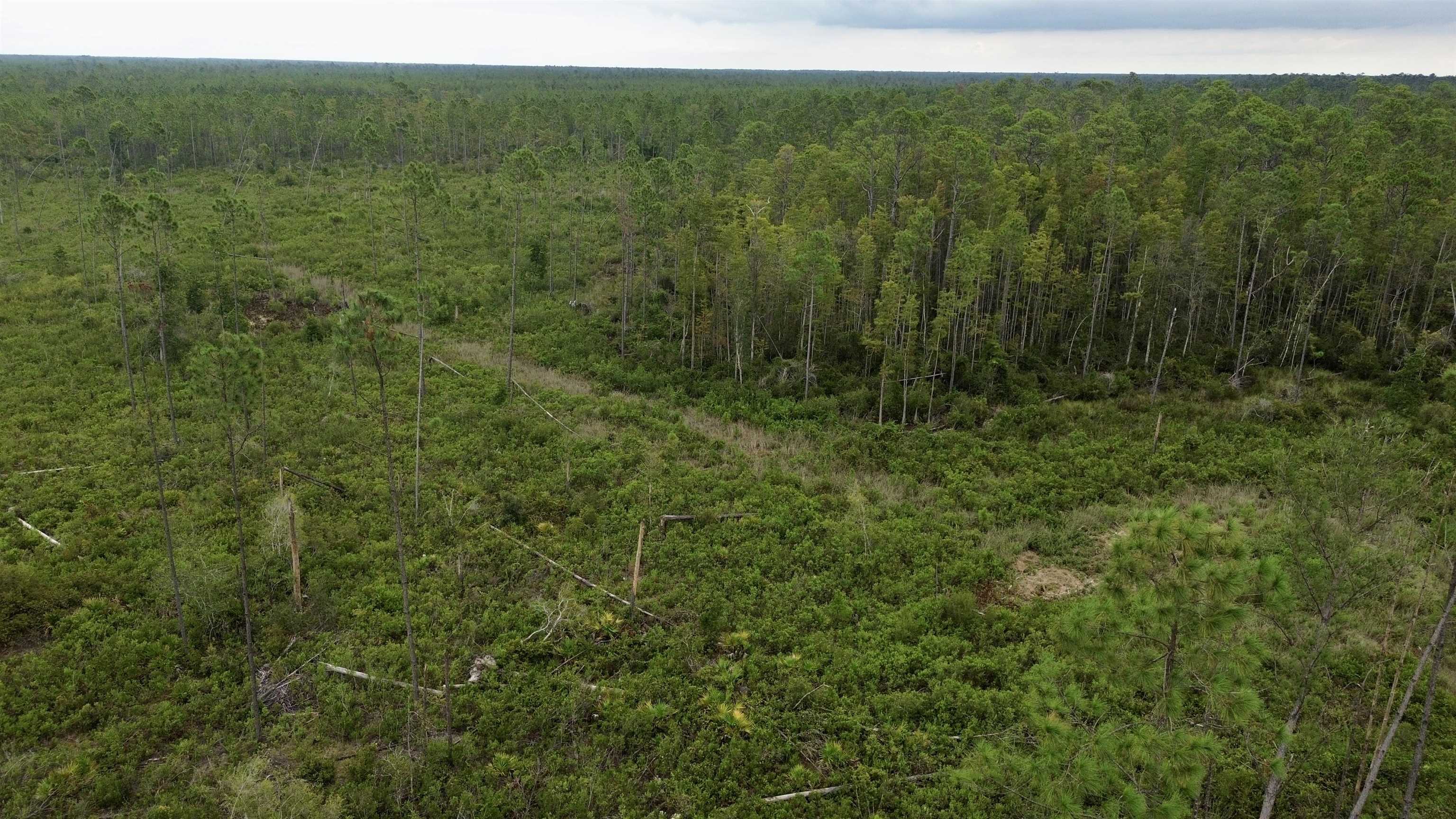 0 Circle Block Loop Perry, FL 32347 - Photo 26 of 31
