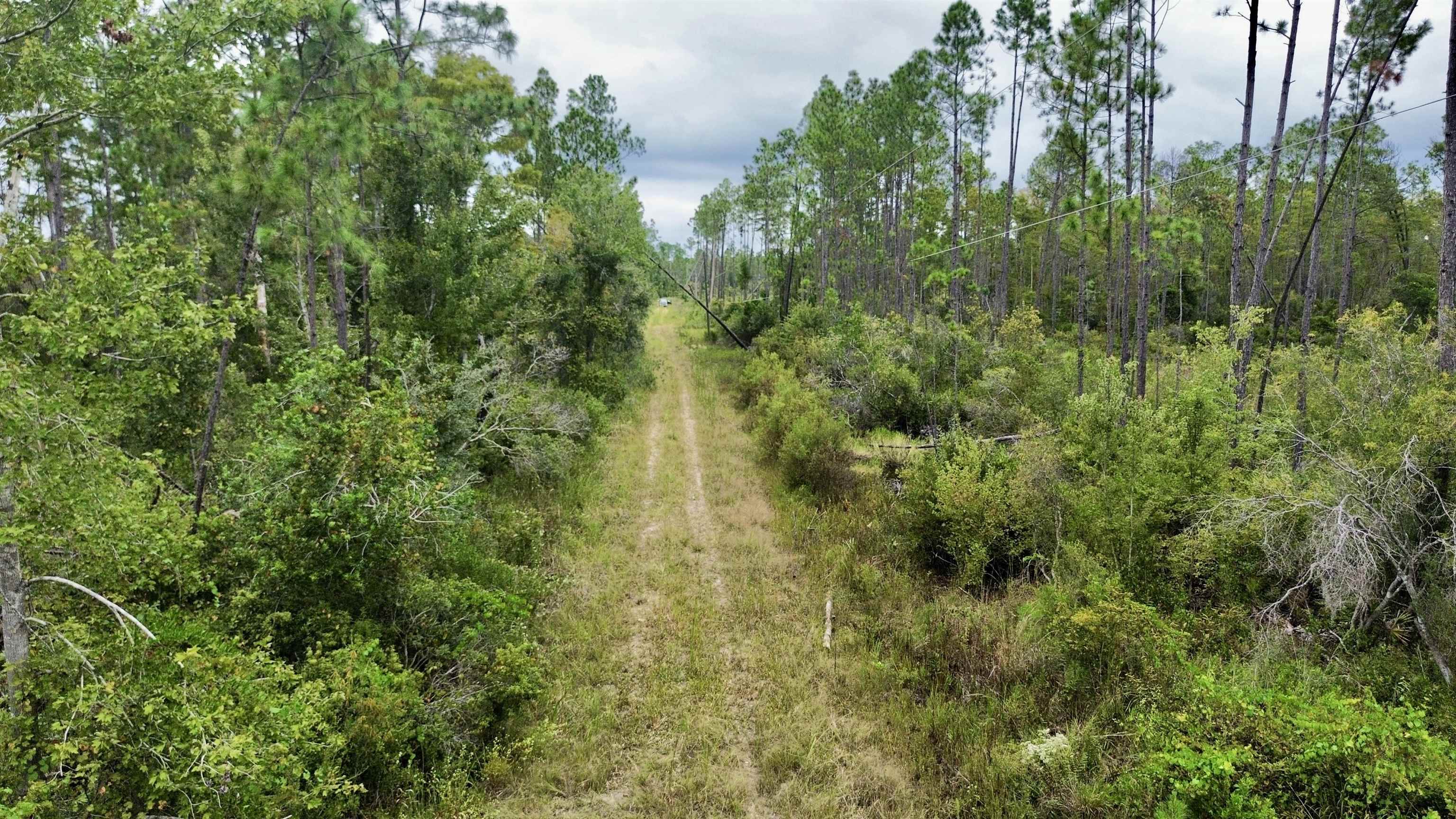0 Circle Block Loop Perry, FL 32347 - Photo 28 of 31
